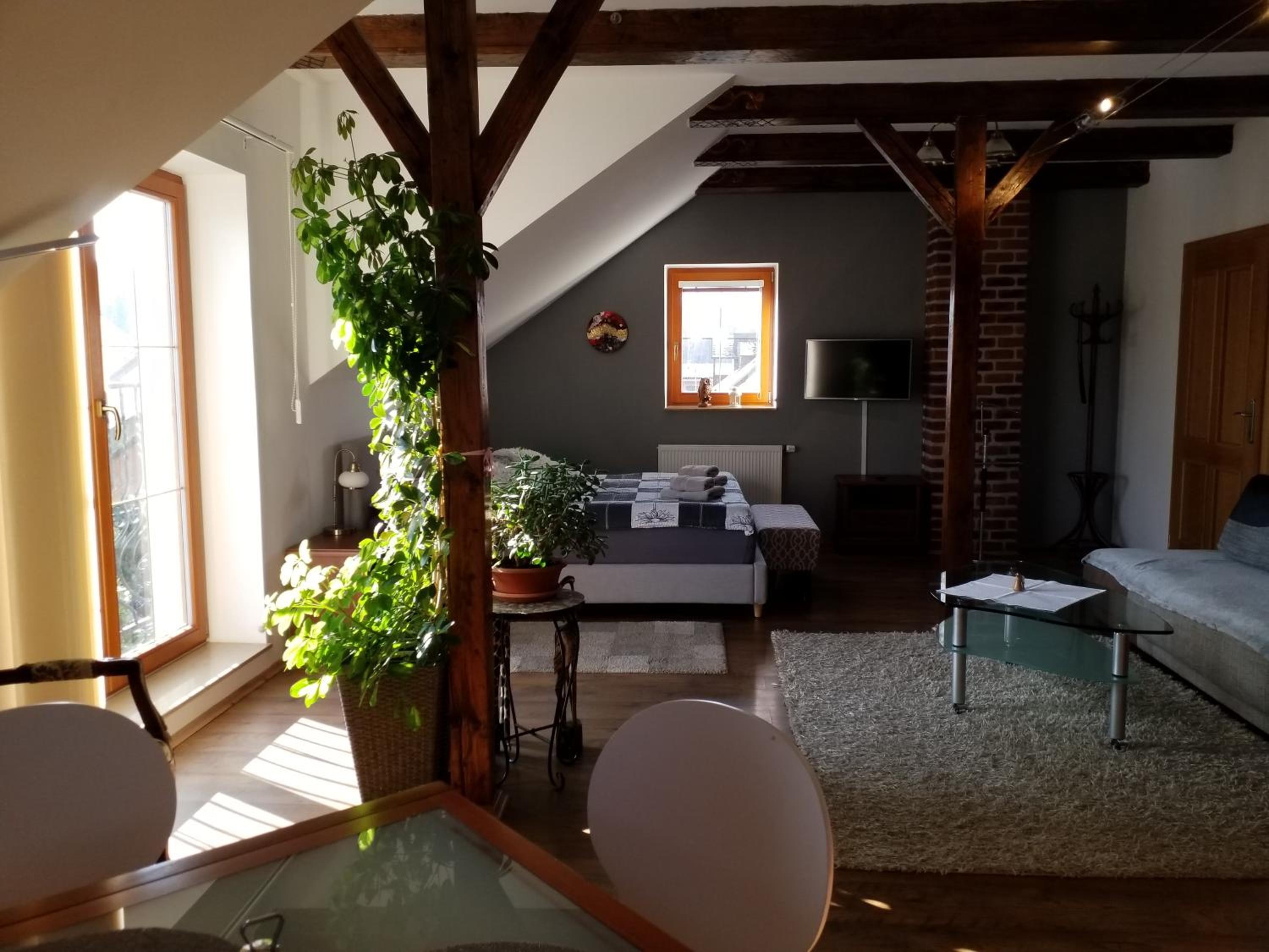 Green Apartment view 3