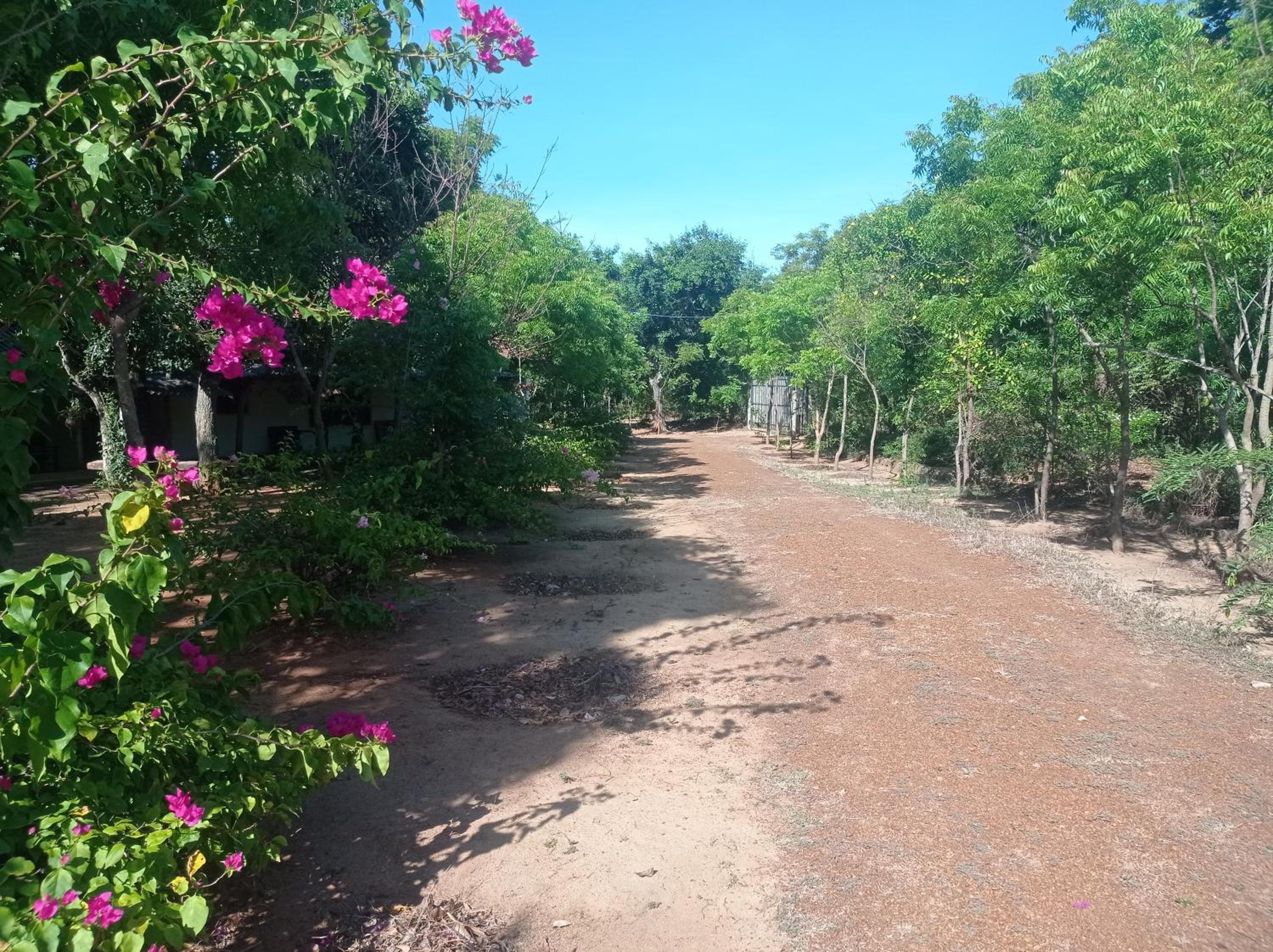 Bundala Resort