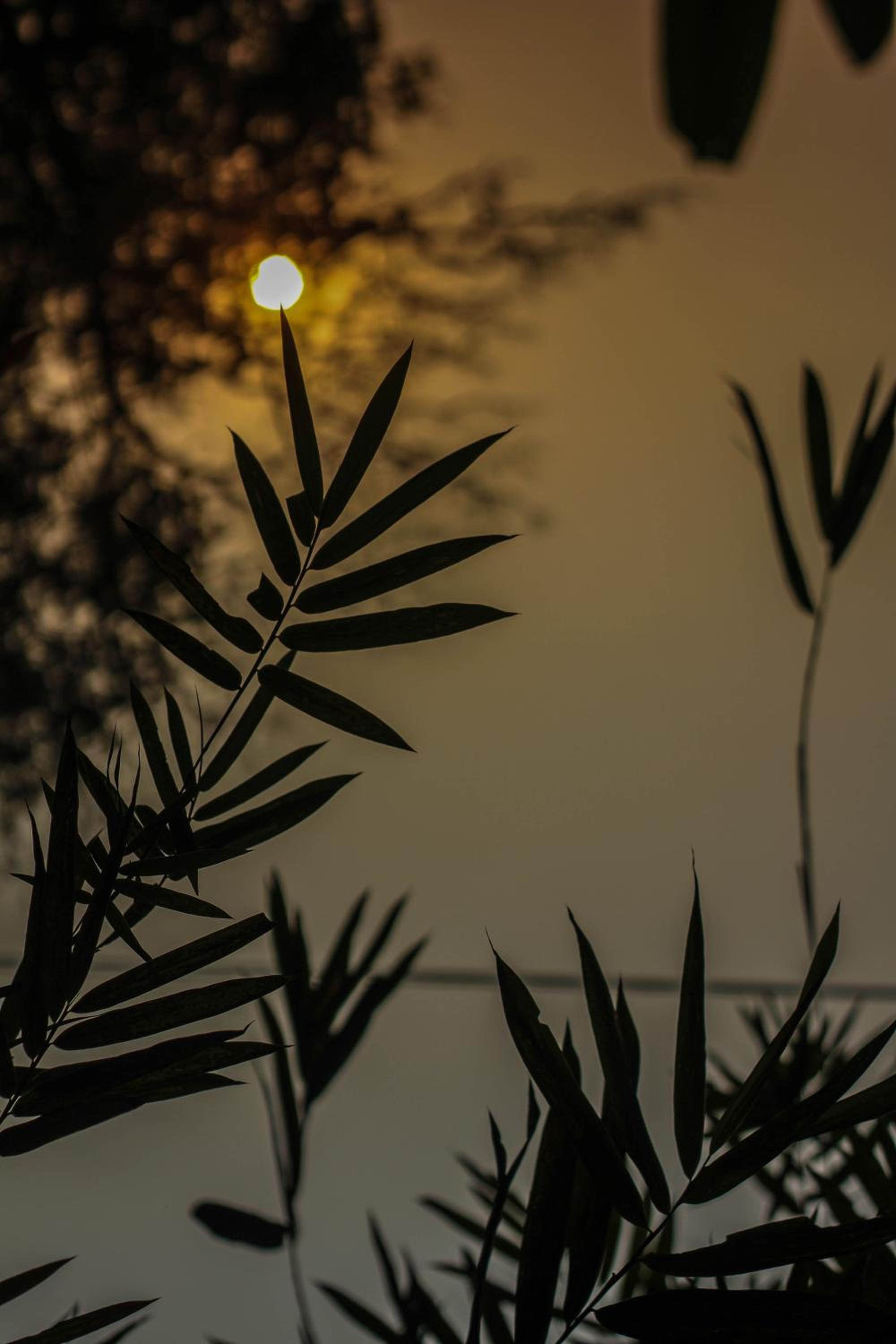 Rancho Farmstay