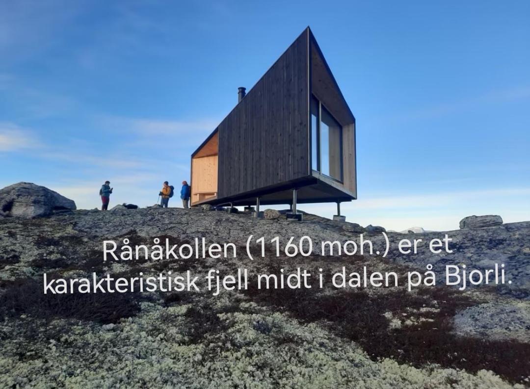 Leilighet på Bjorli Apartment