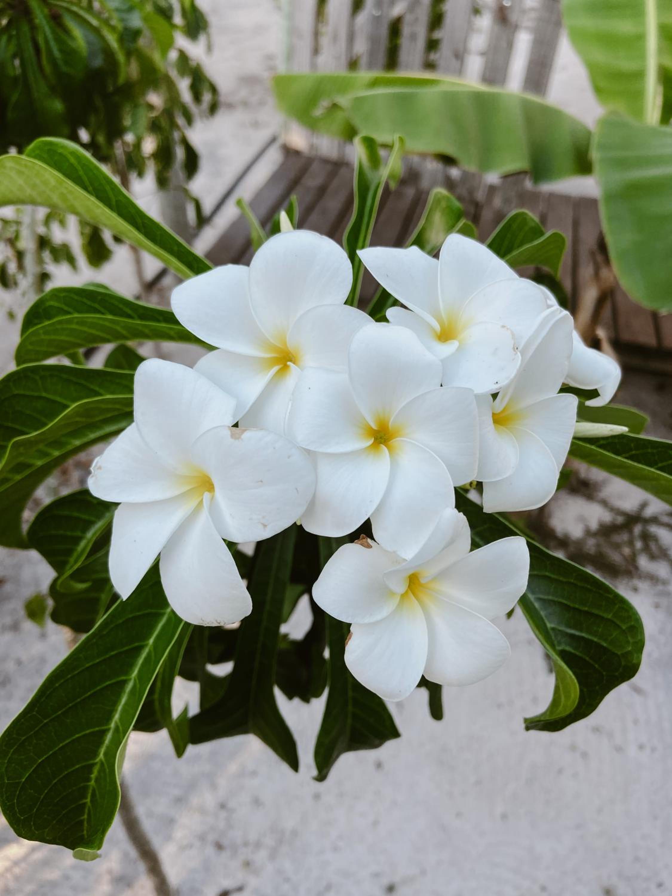 Pousada Refazenda