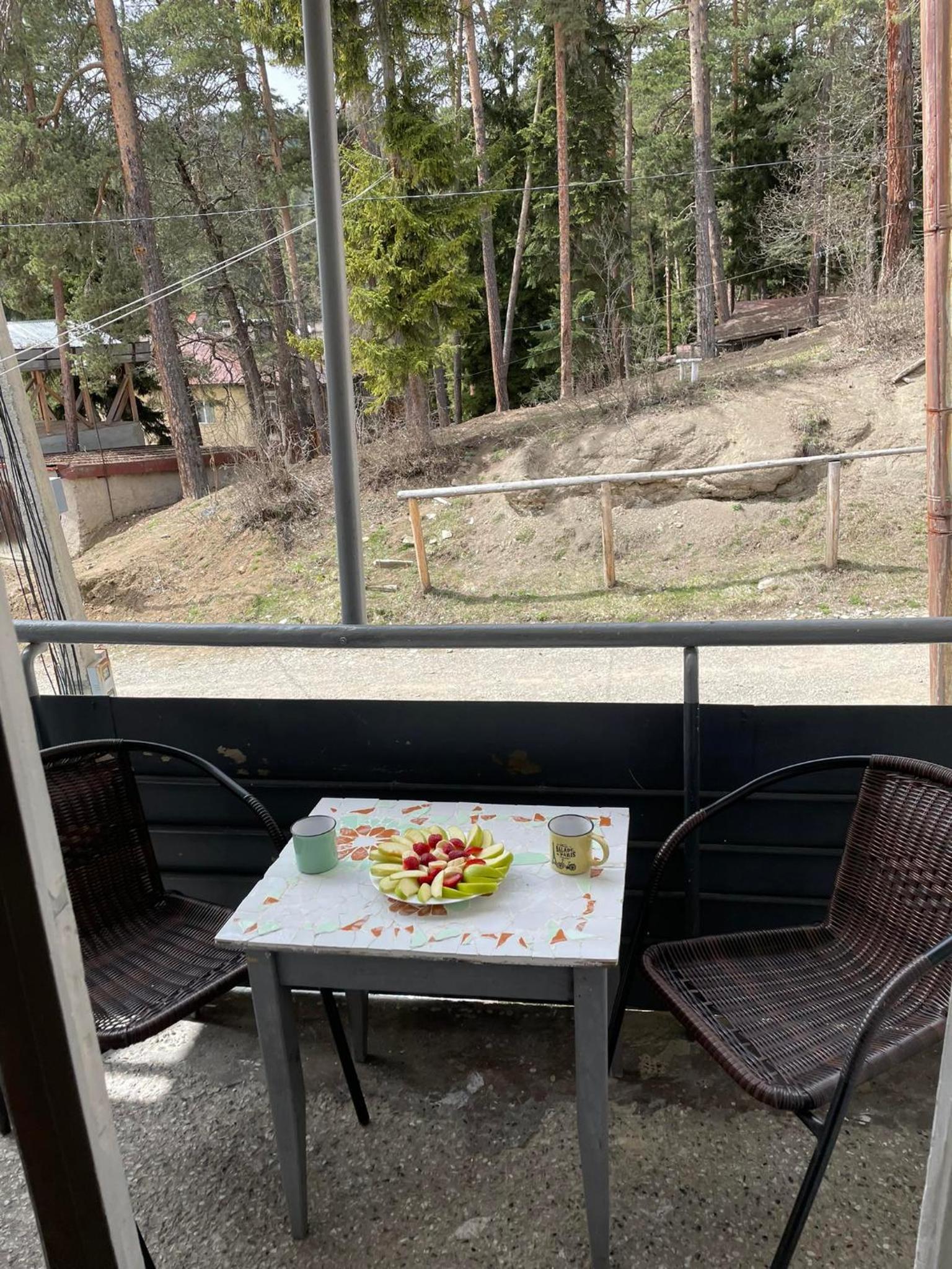 Abastumani Apartment