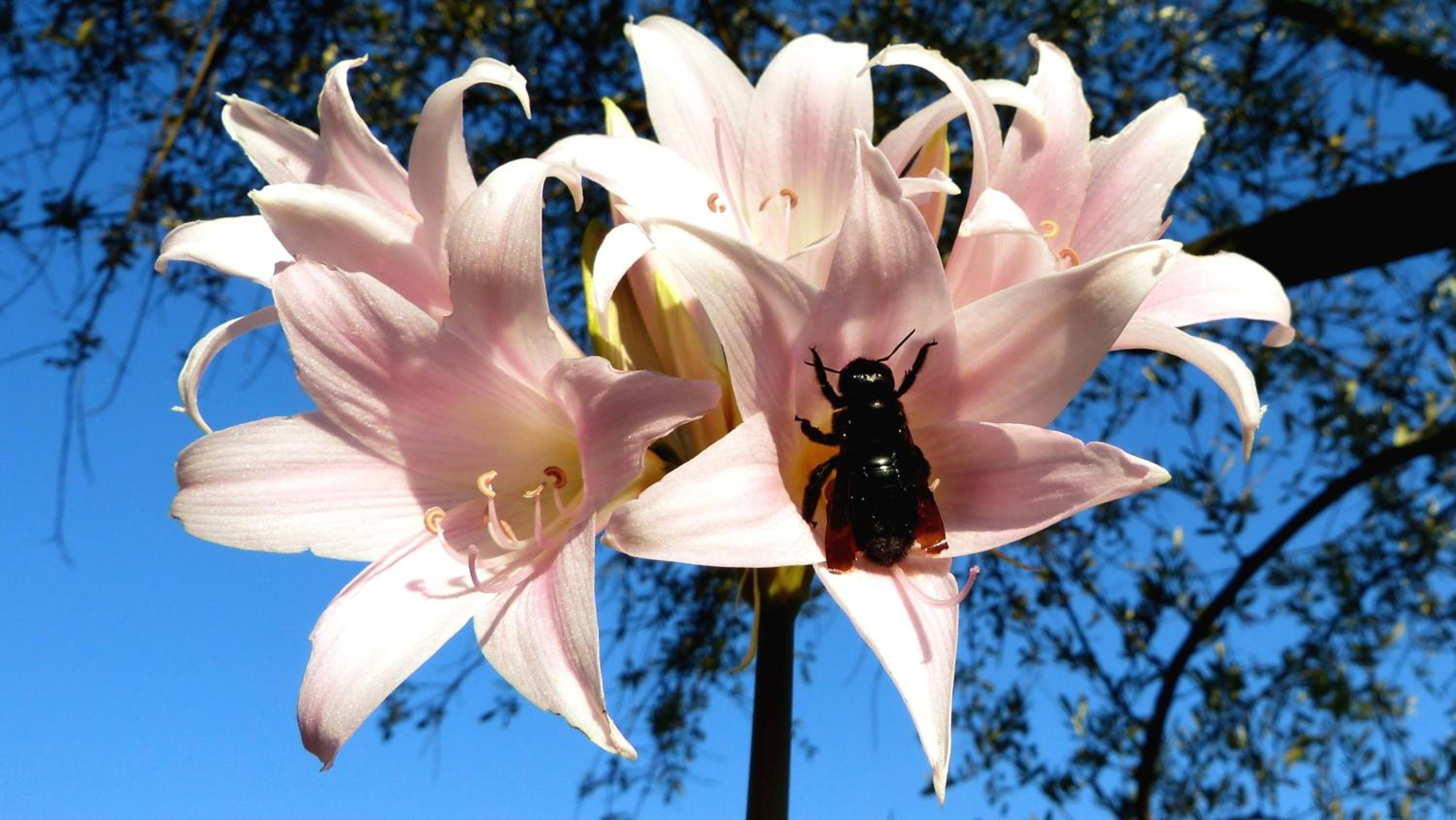 Photo 46
