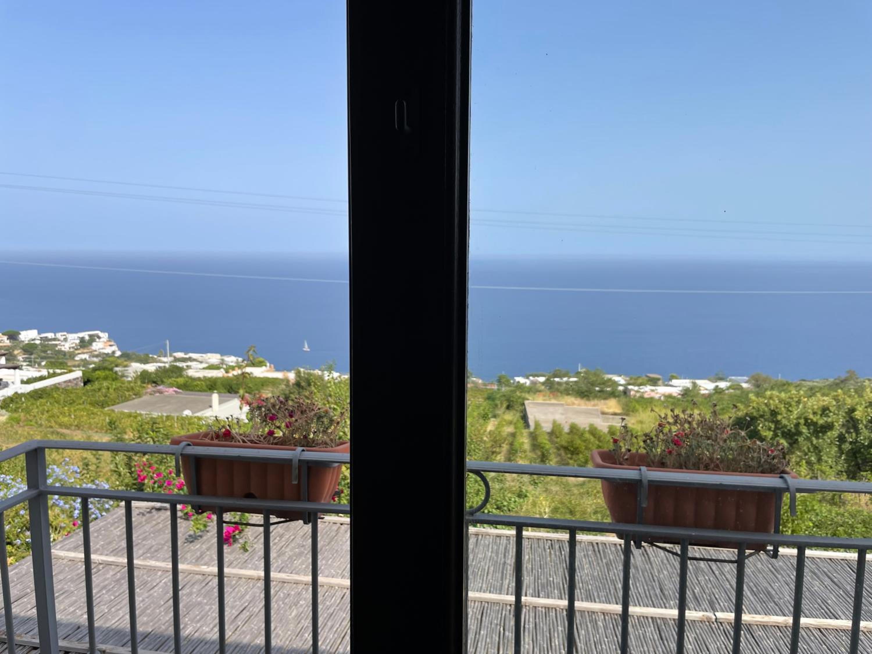 Villa Mimosa photo 4