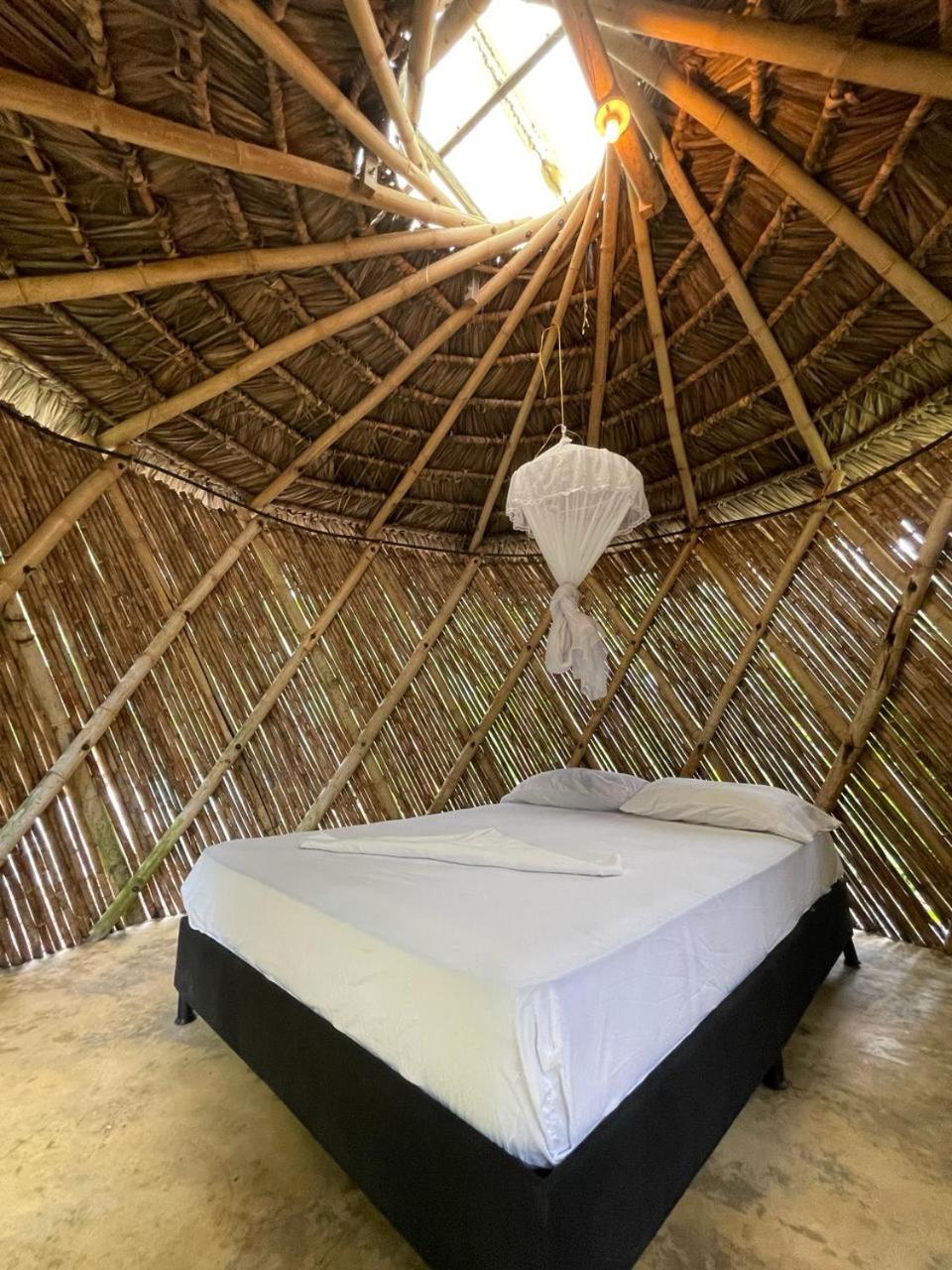Casa Alma
