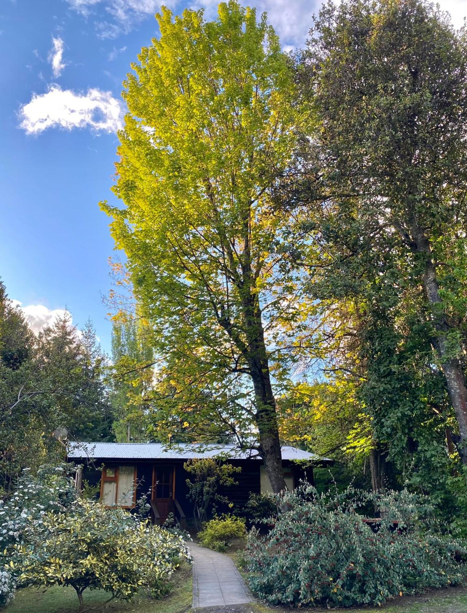 Altos del Sur Cabañas de Montaña