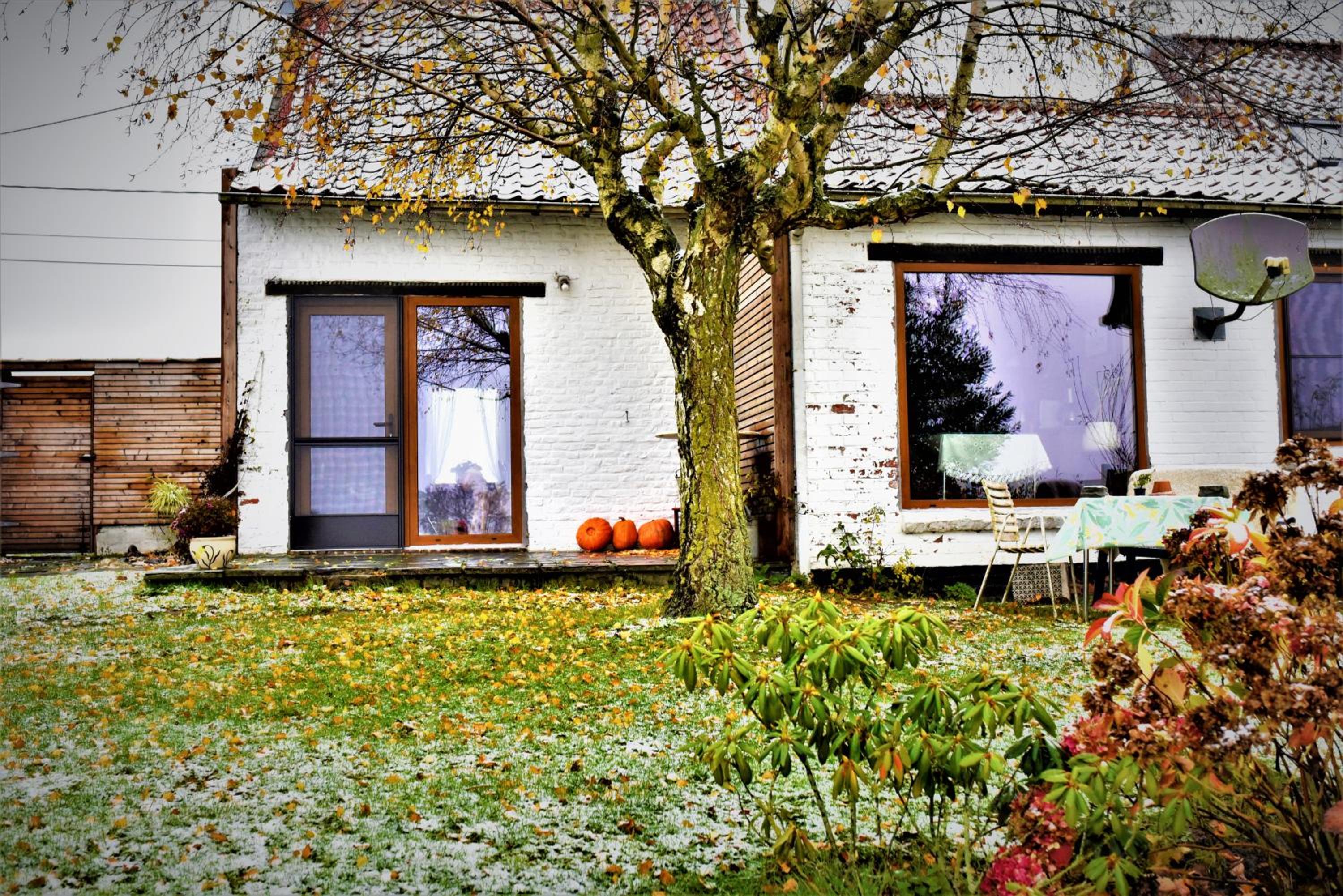Maison Jeanny, full house with big garden