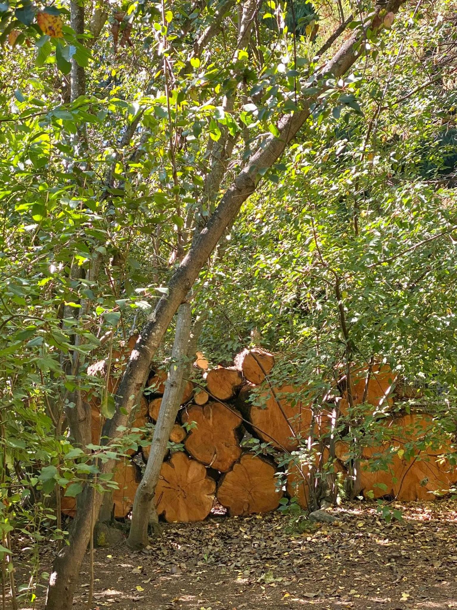 Altos del Sur Cabañas de Montaña