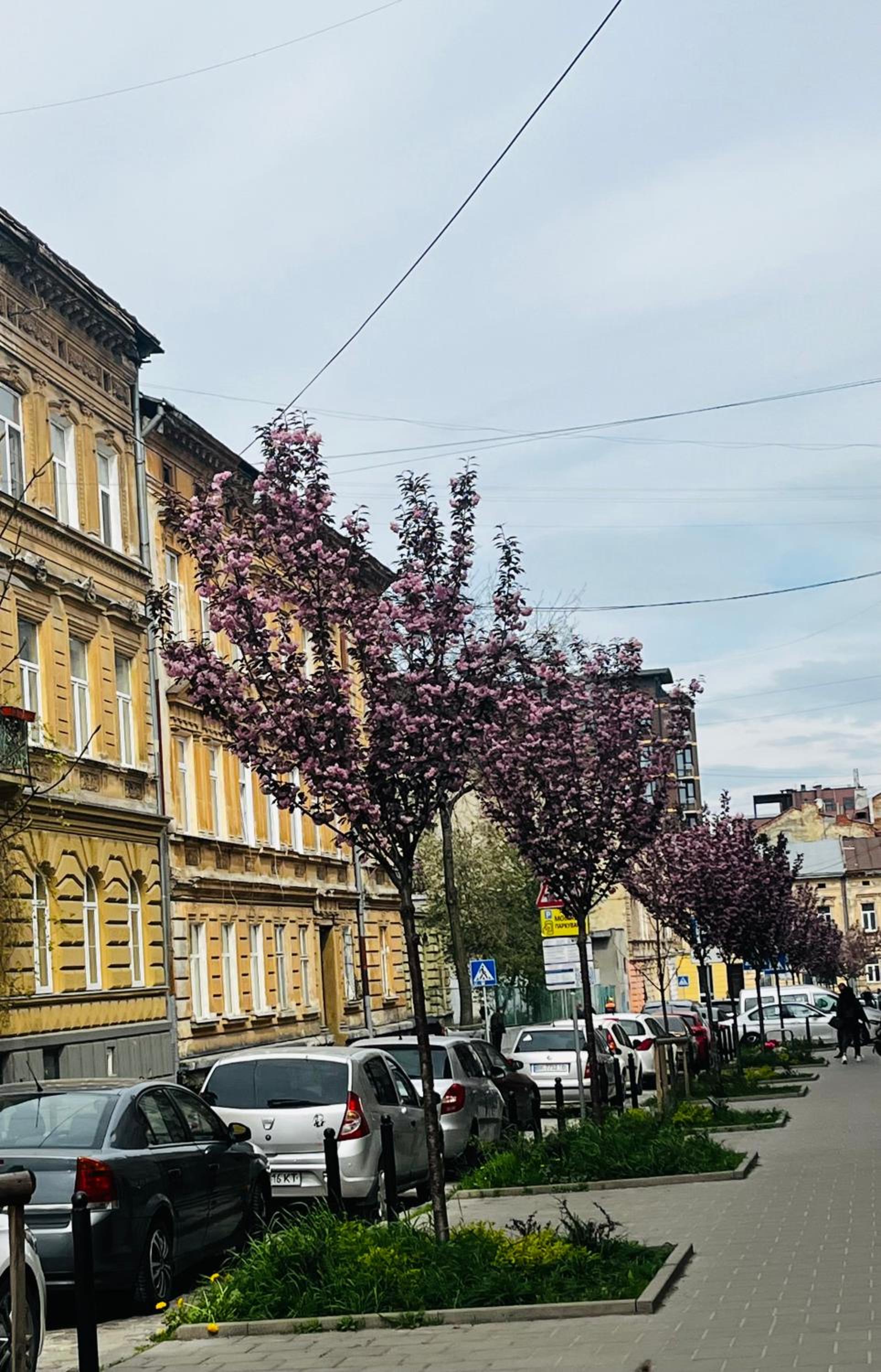 Iren Forum apartment