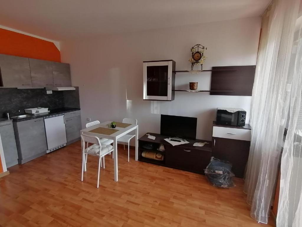 Apartmani VIDOJKOVIĆ view 5