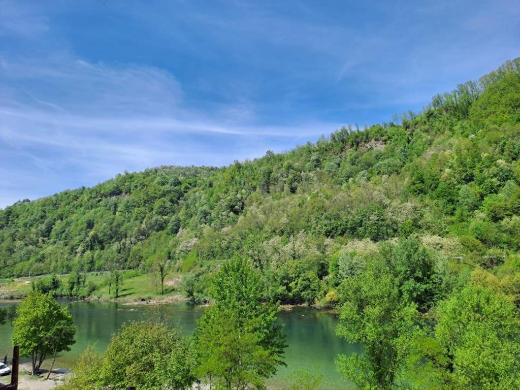 Apartment Zlatna plaža