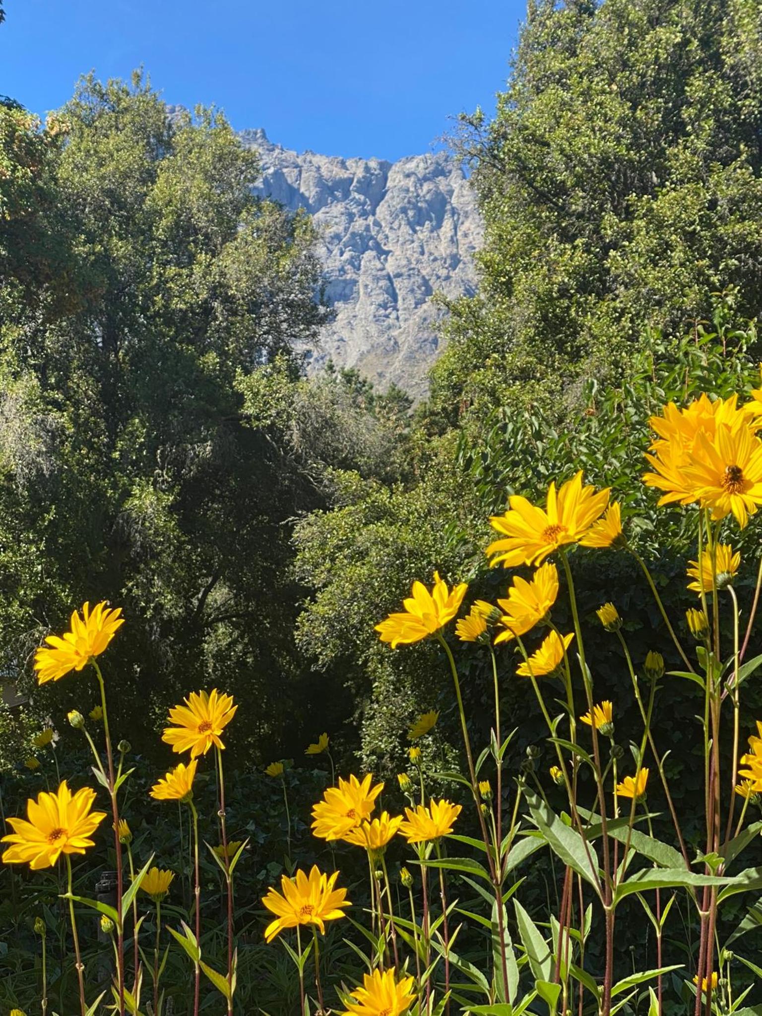 Altos del Sur Cabañas de Montaña