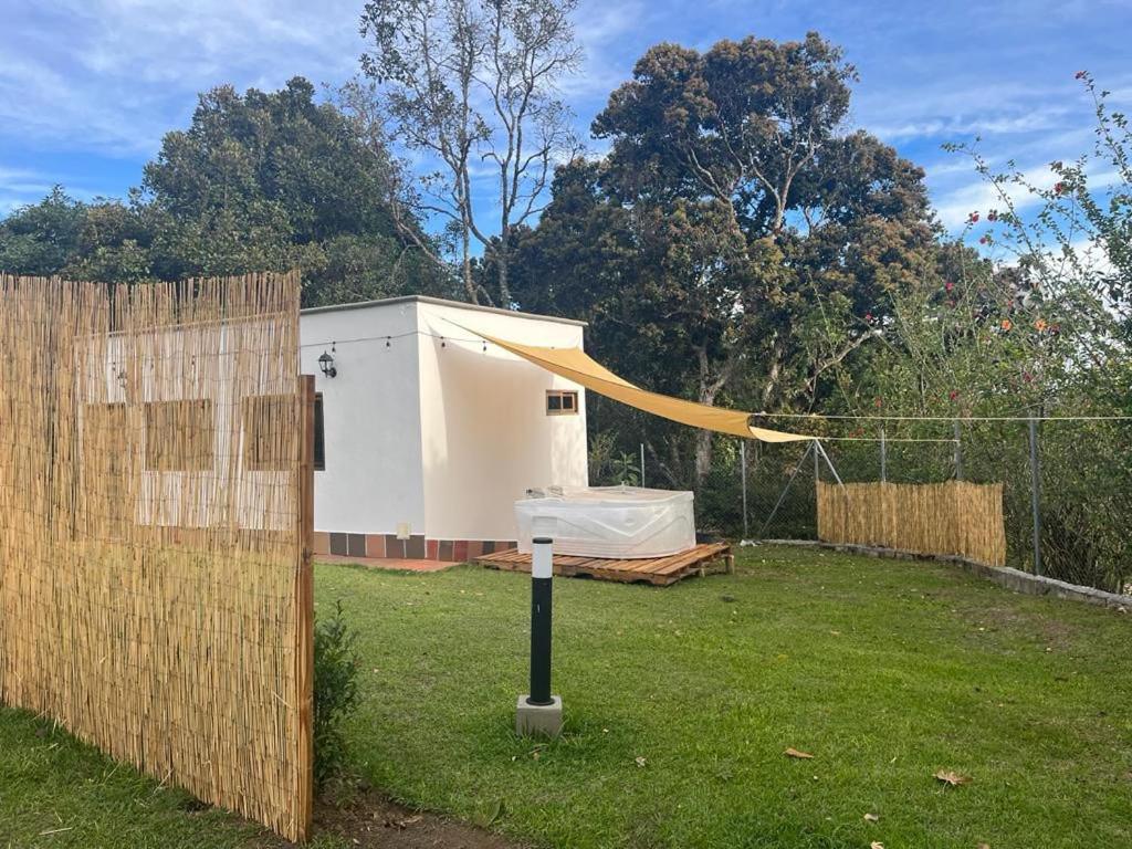 Nativo House