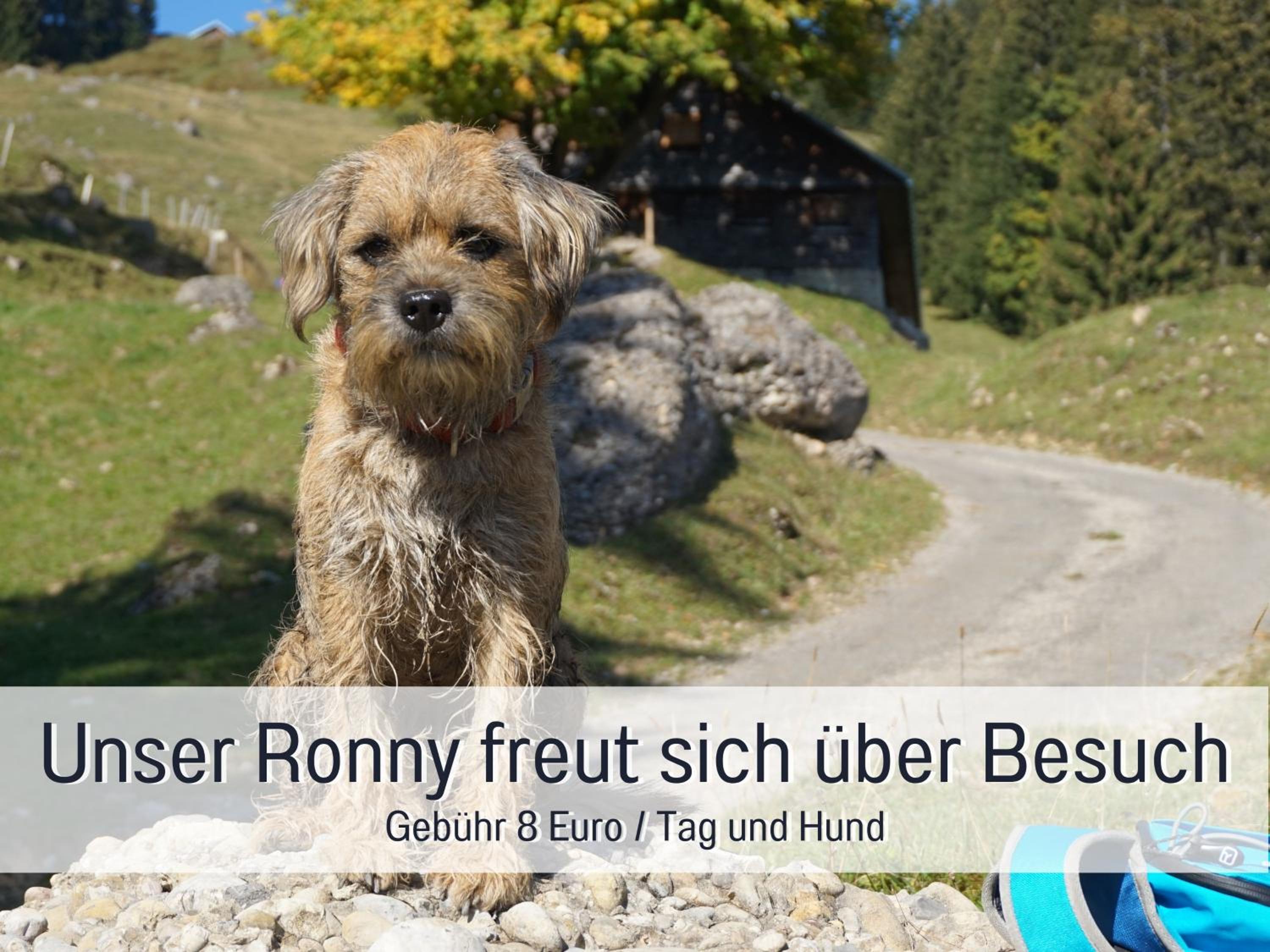 Biohof Burger, 3 sonnige Fewo, alle mit Balkon, Spielzimmer, Grillhütte, 7 km vor Oberstdorf