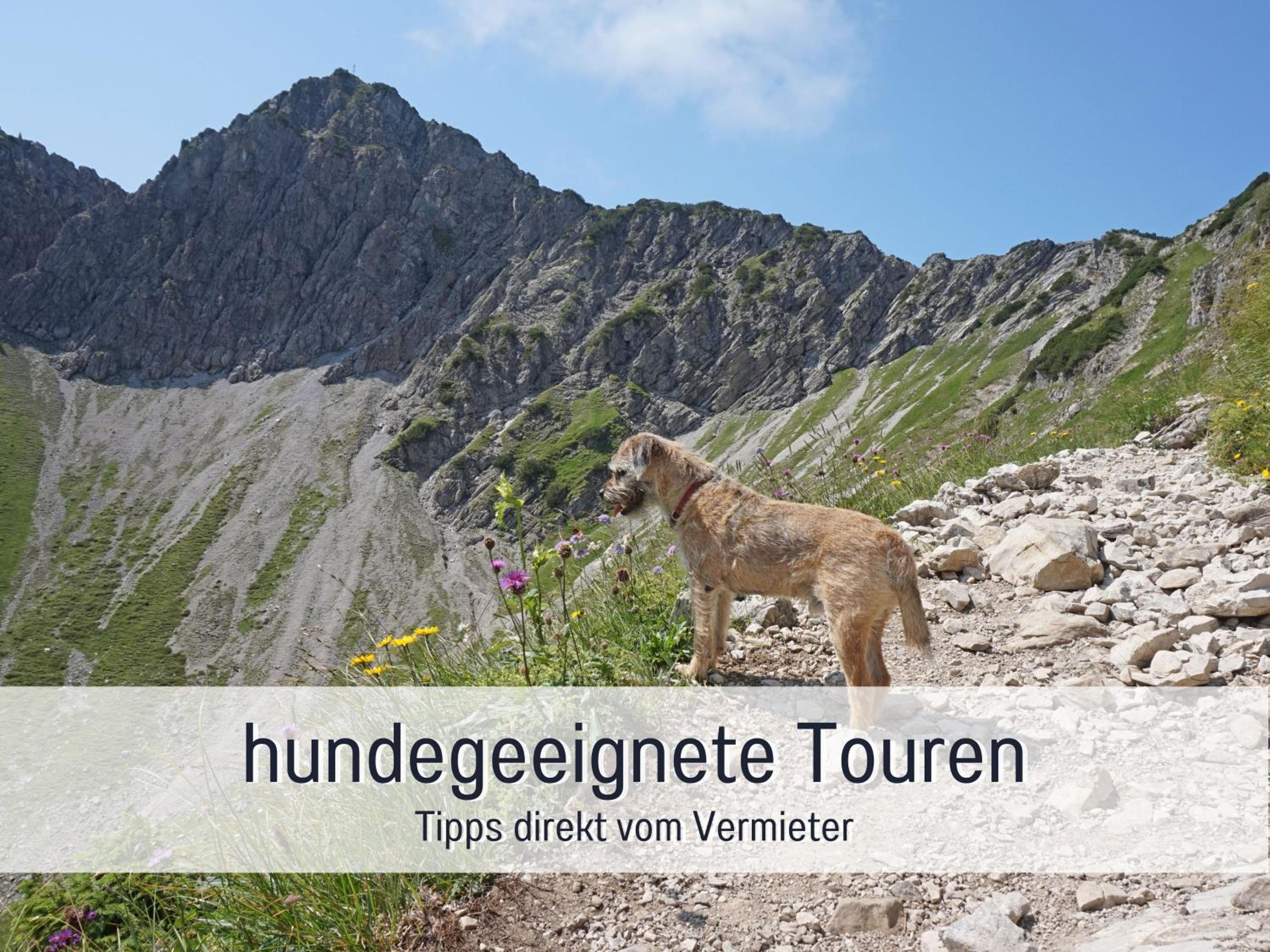Biohof Burger, 3 sonnige Fewo, alle mit Balkon, Spielzimmer, Grillhütte, 7 km vor Oberstdorf