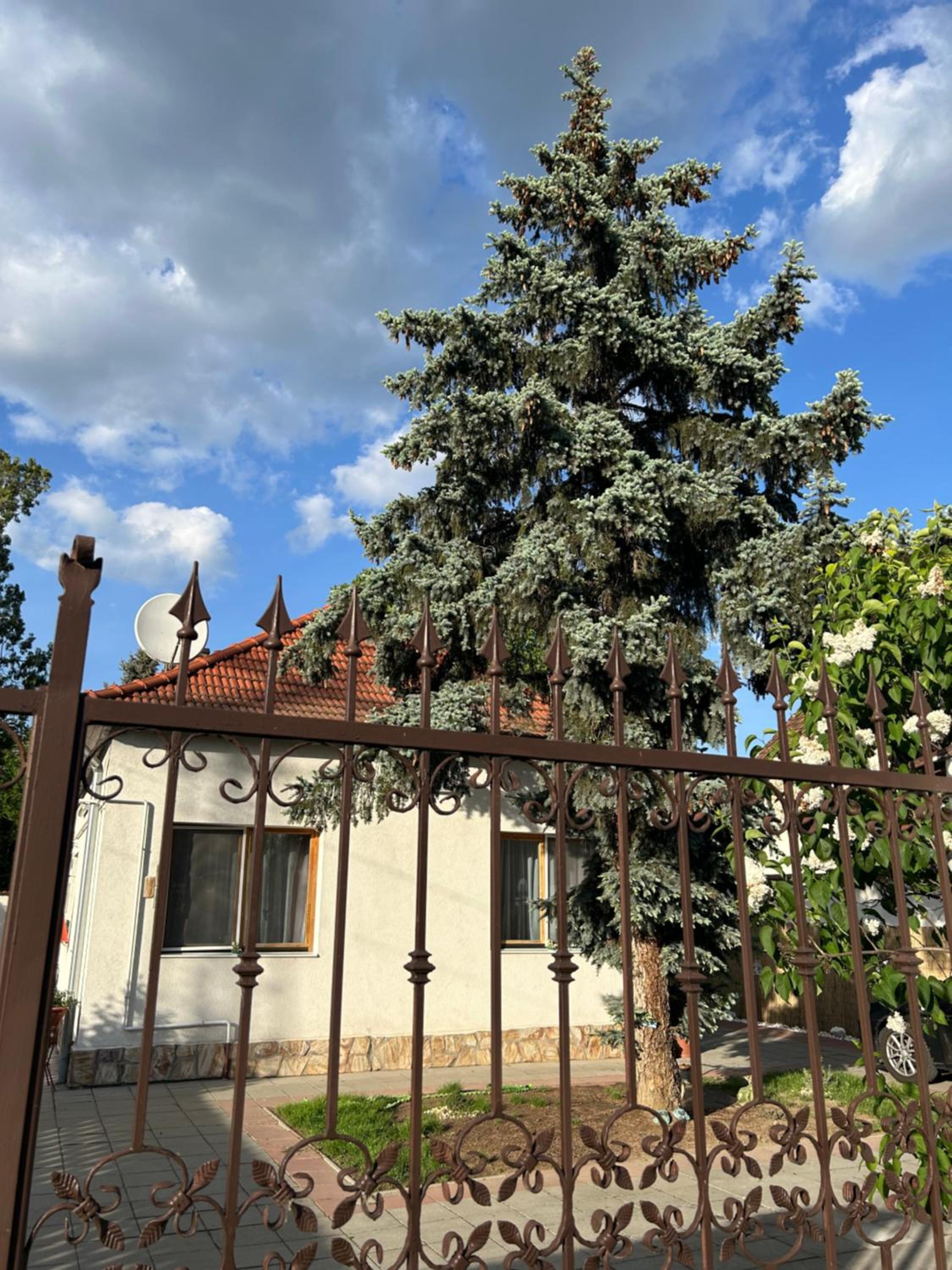 Tavaszpart Vendégház