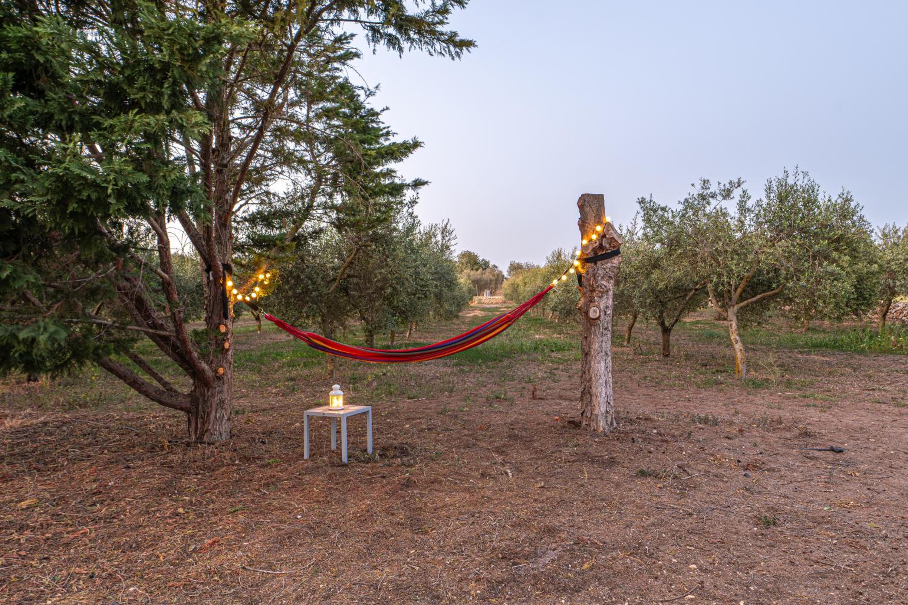 Finca Girasols