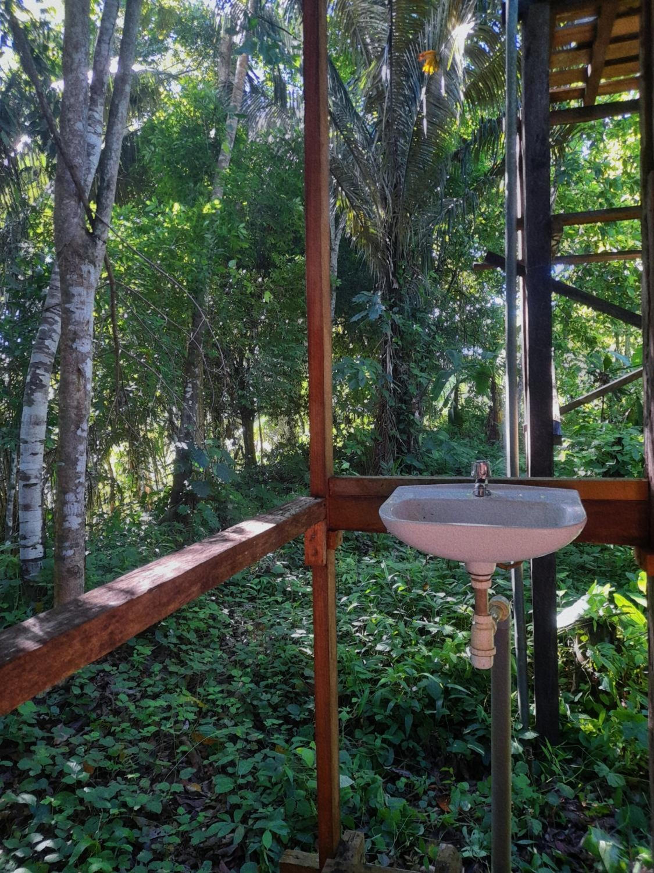 Homestay Oropendola tambopata