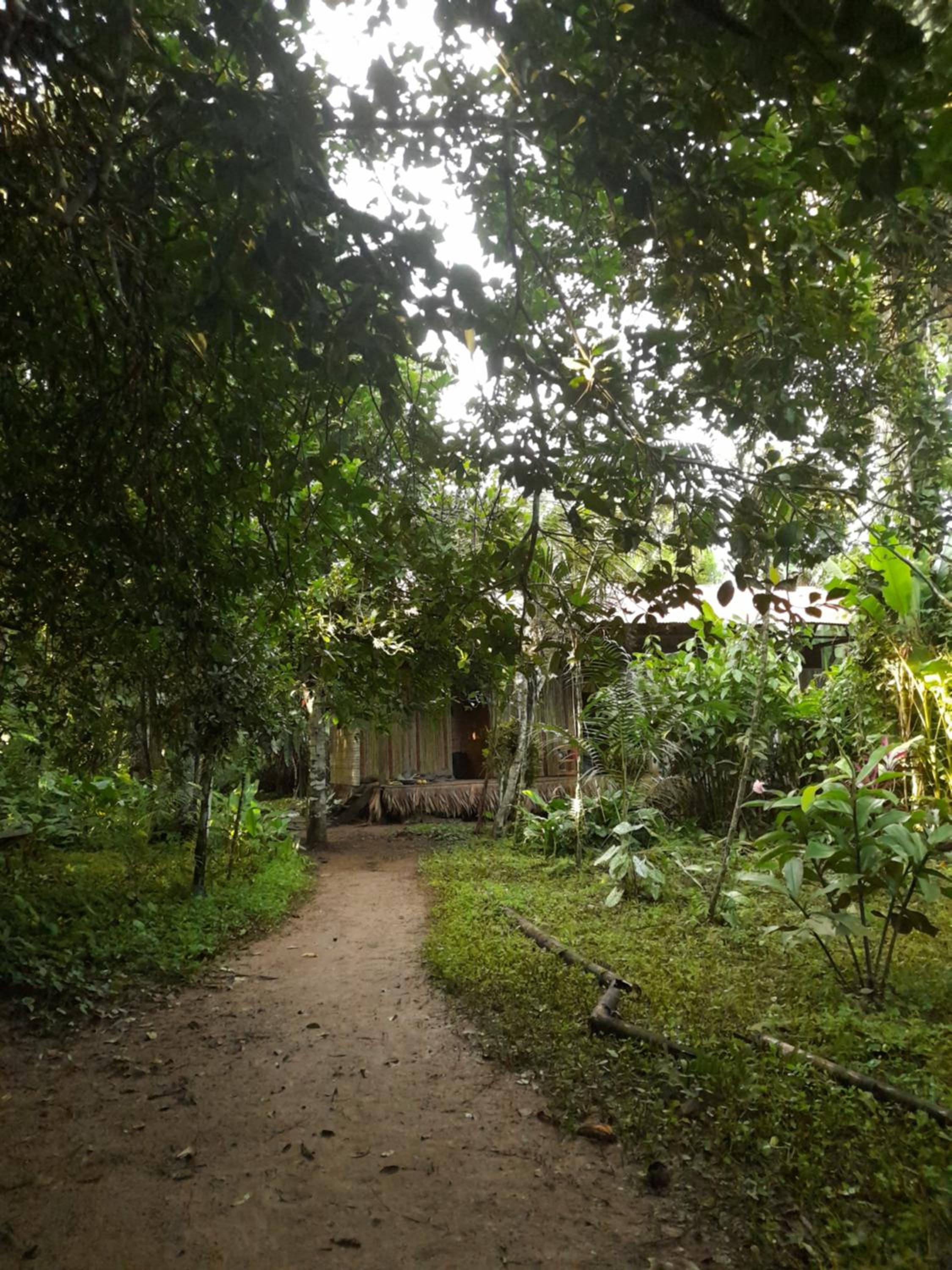 Homestay Oropendola tambopata