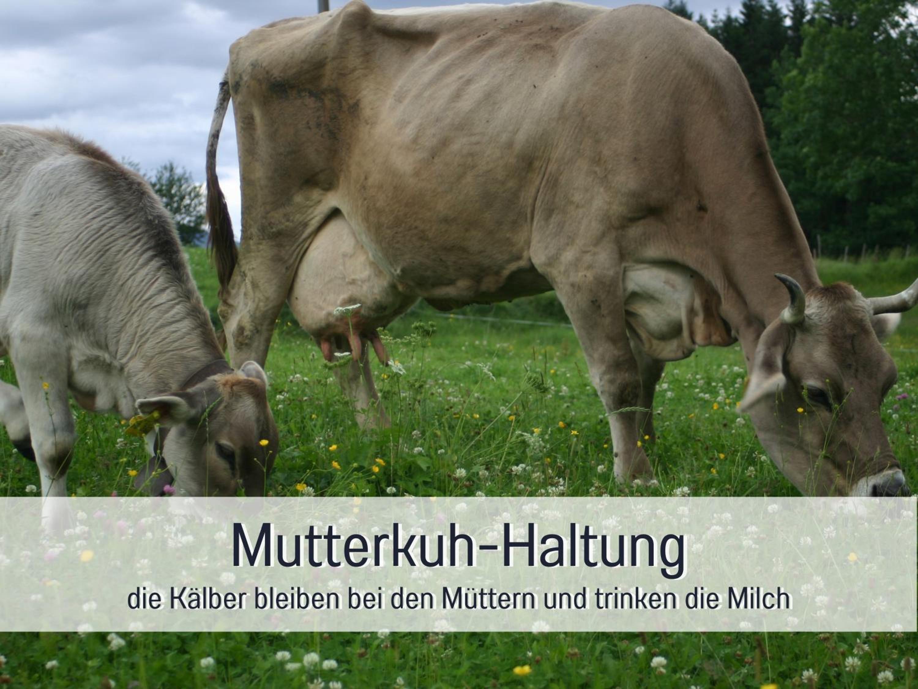 Biohof Burger, 3 sonnige Fewo, alle mit Balkon, Spielzimmer, Grillhütte, 7 km vor Oberstdorf