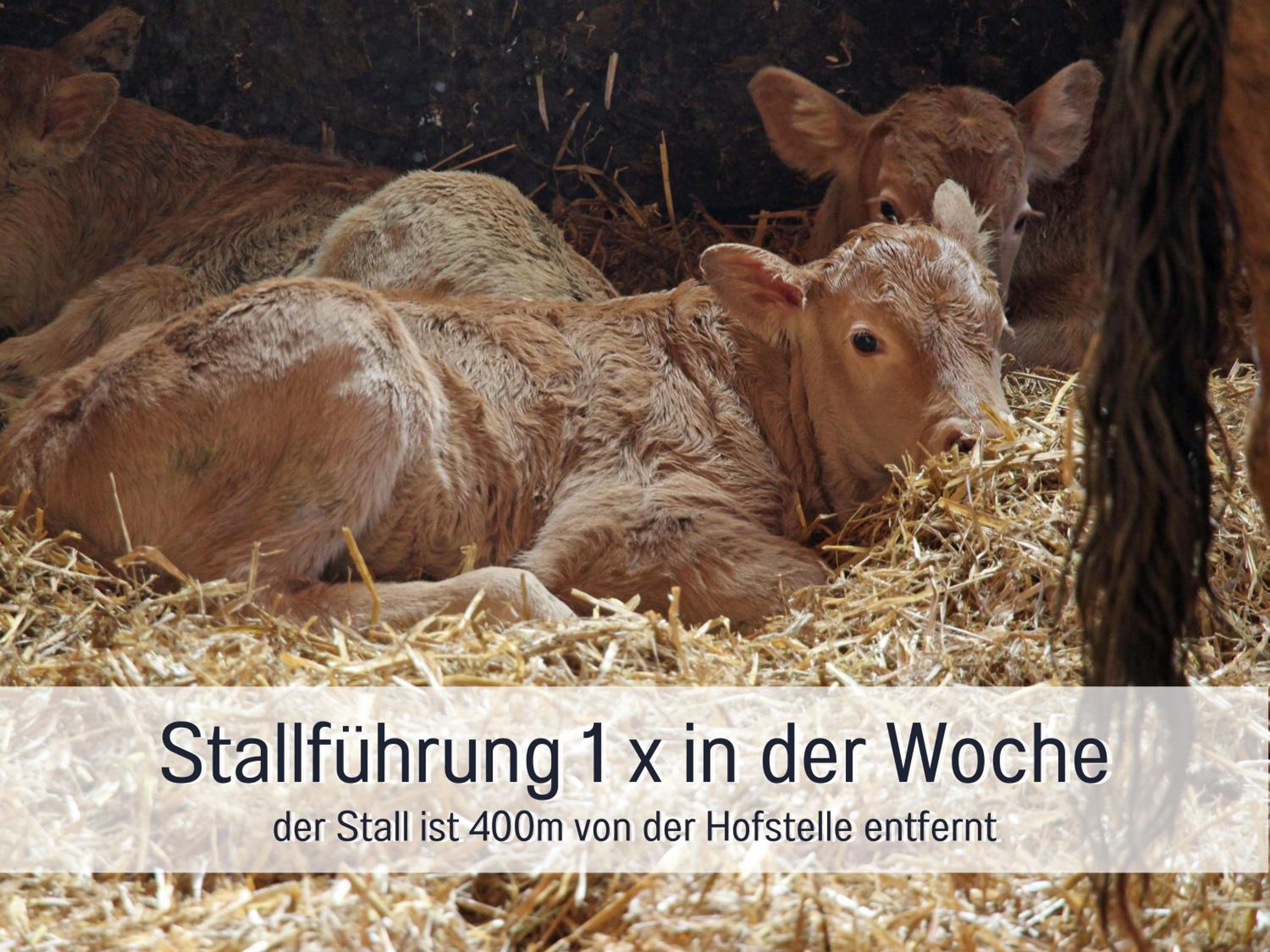 Biohof Burger, 3 sonnige Fewo, alle mit Balkon, Spielzimmer, Grillhütte, 7 km vor Oberstdorf