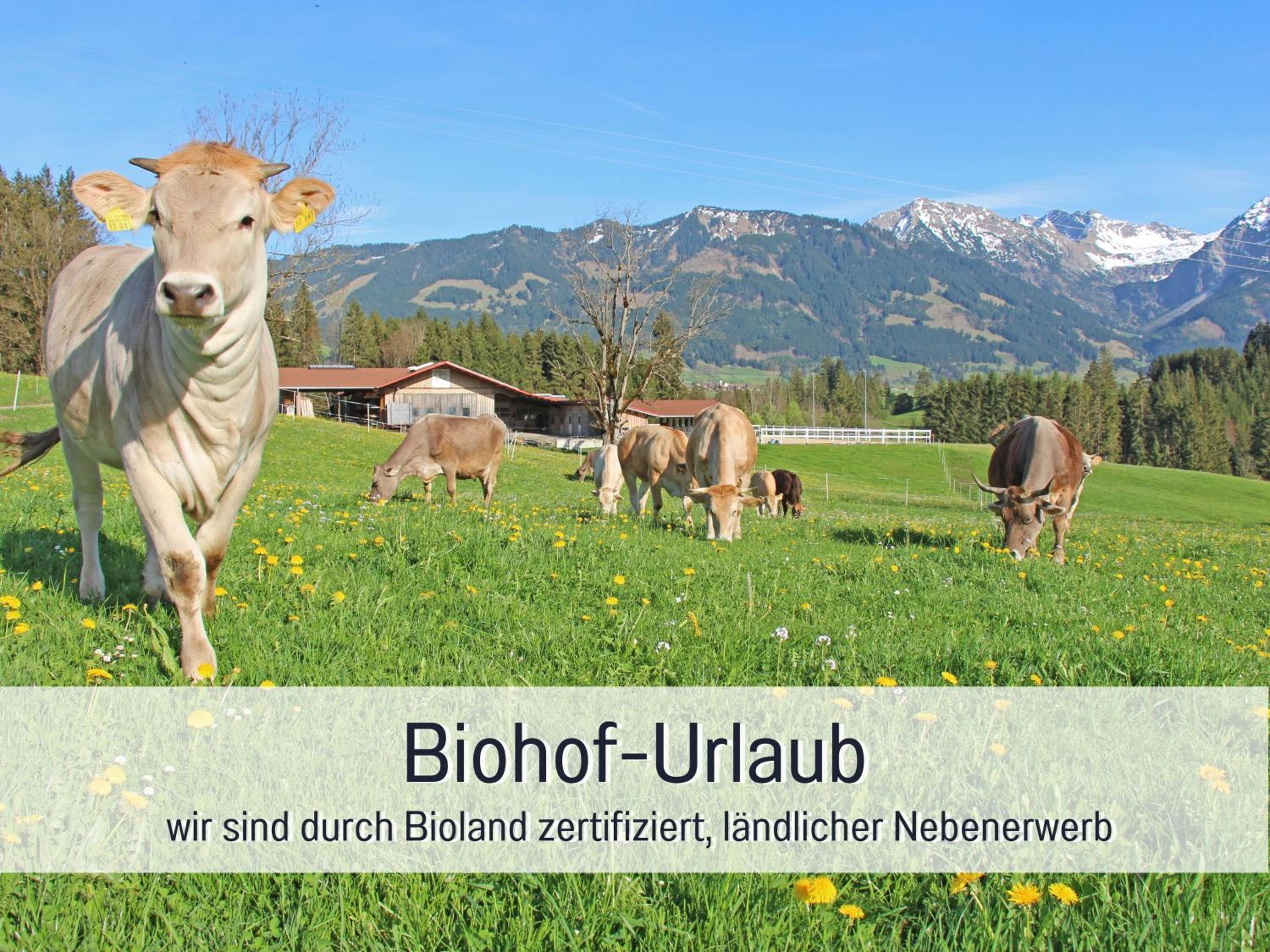 Biohof Burger, 3 sonnige Fewo, alle mit Balkon, Spielzimmer, Grillhütte, 7 km vor Oberstdorf