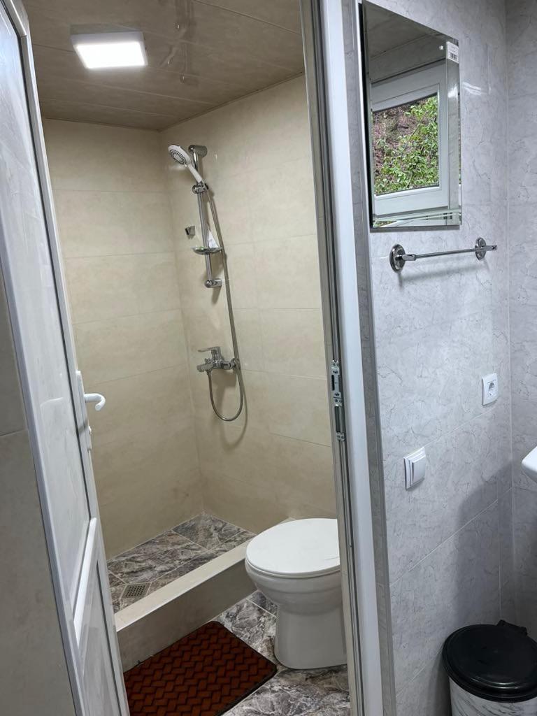 Guest House "SVANETI"
