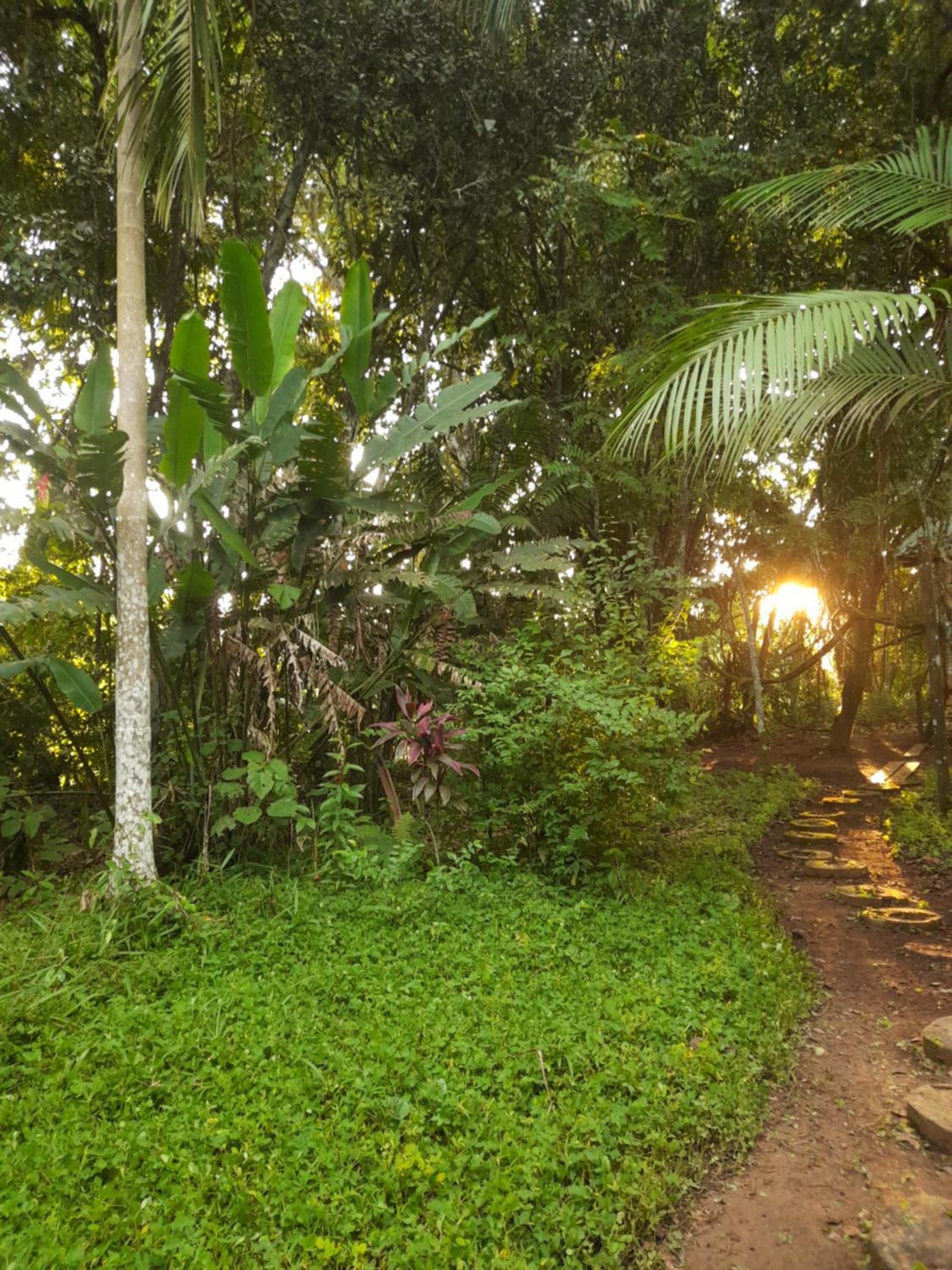 Homestay Oropendola tambopata