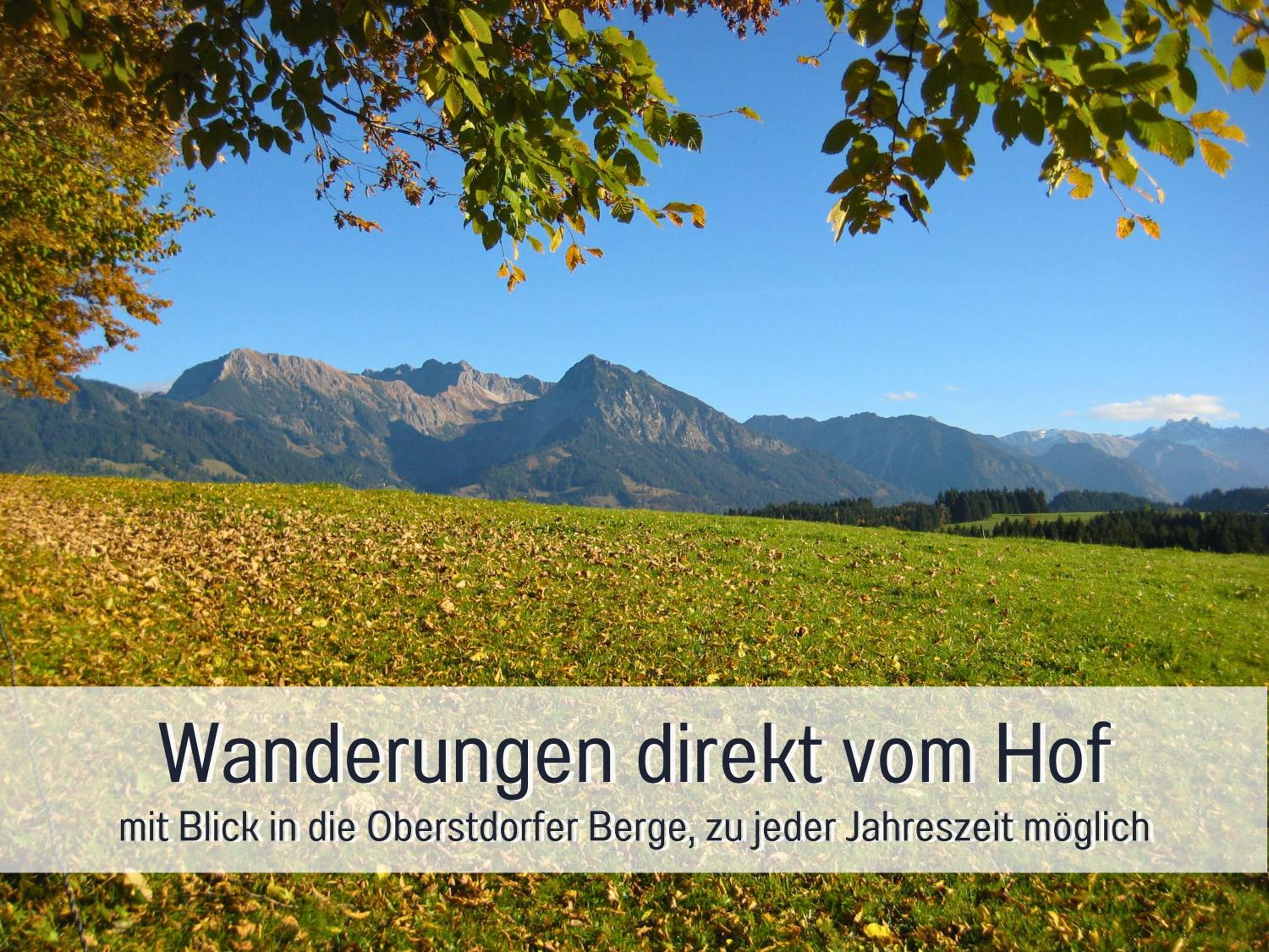 Biohof Burger, 3 sonnige Fewo, alle mit Balkon, Spielzimmer, Grillhütte, 7 km vor Oberstdorf