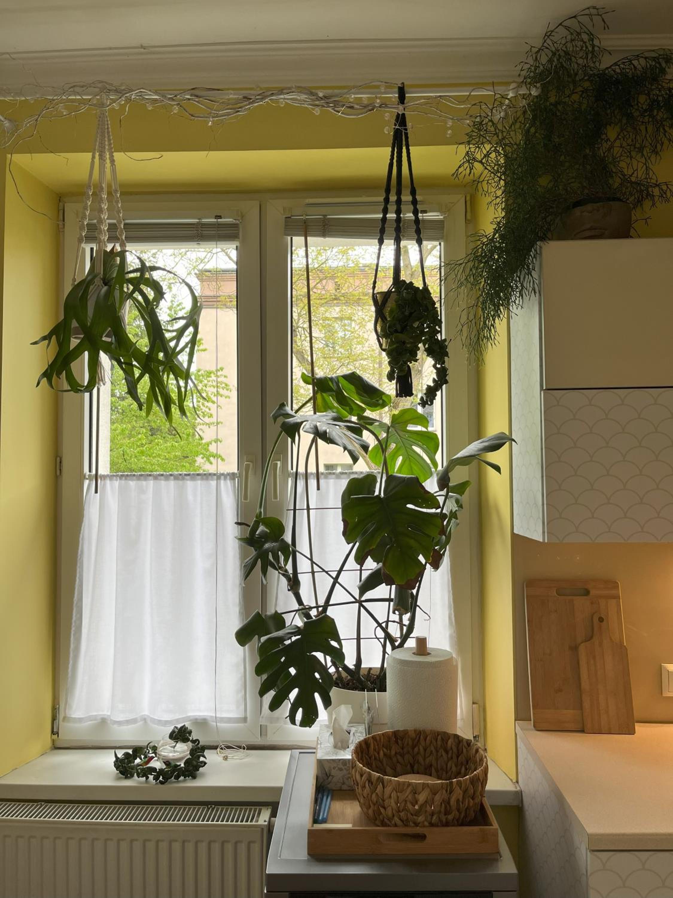 Greenthumb Praska