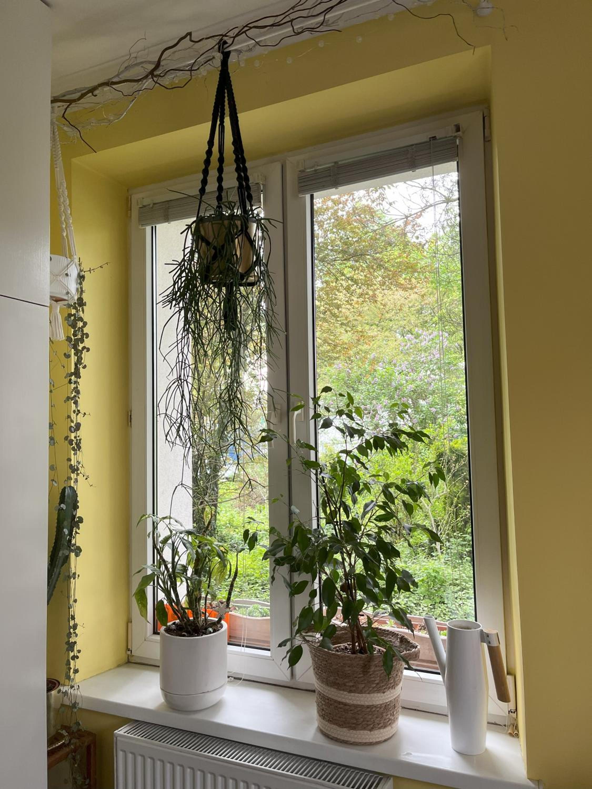 Greenthumb Praska