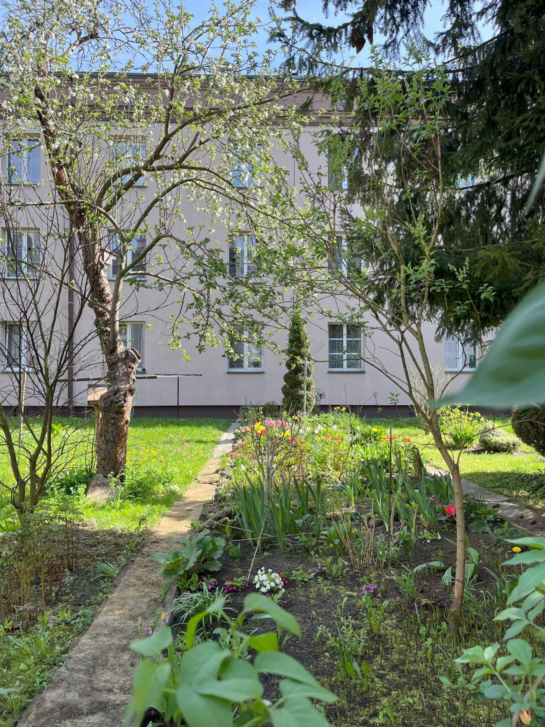 Greenthumb Praska