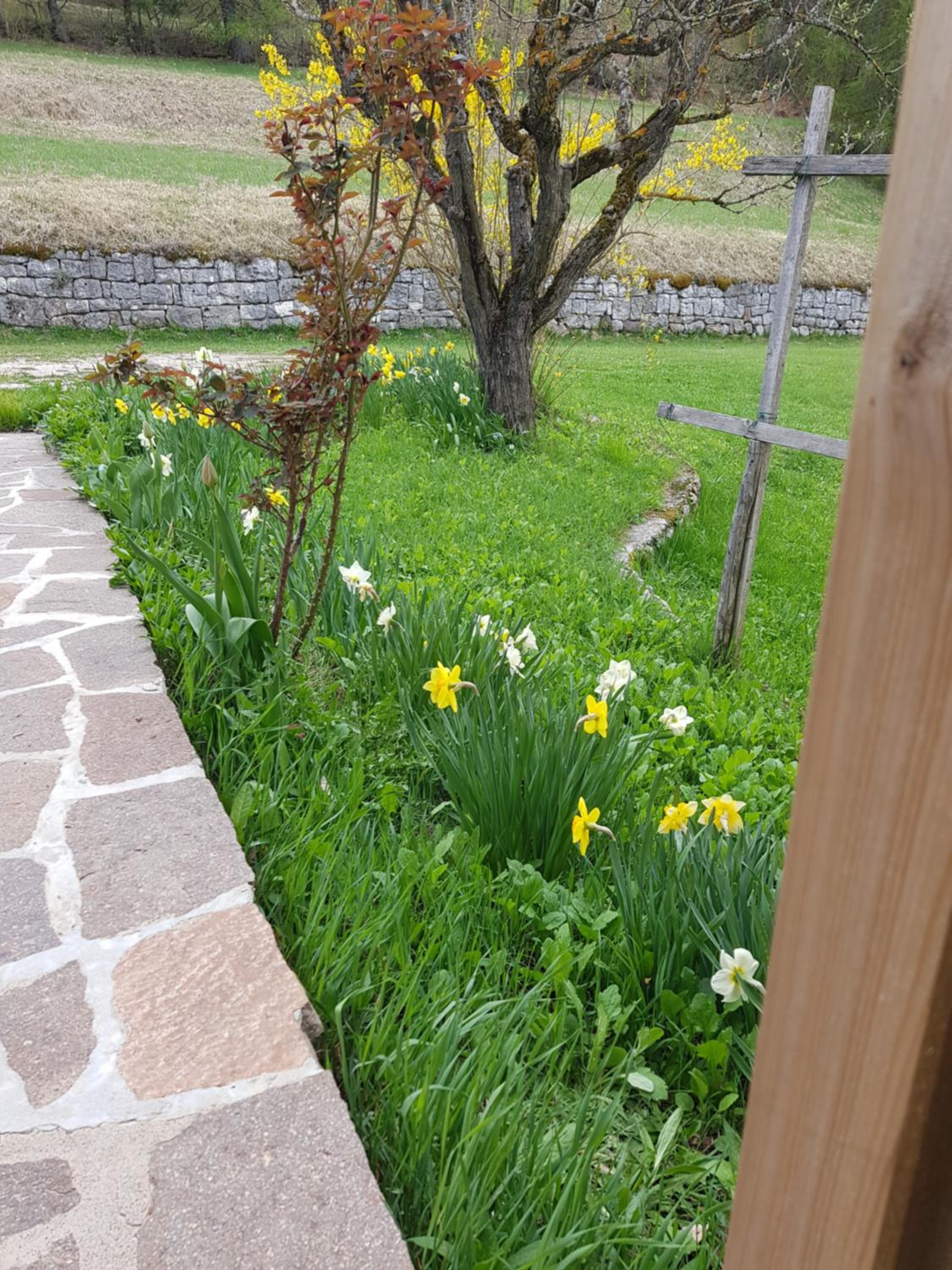 Photo 35