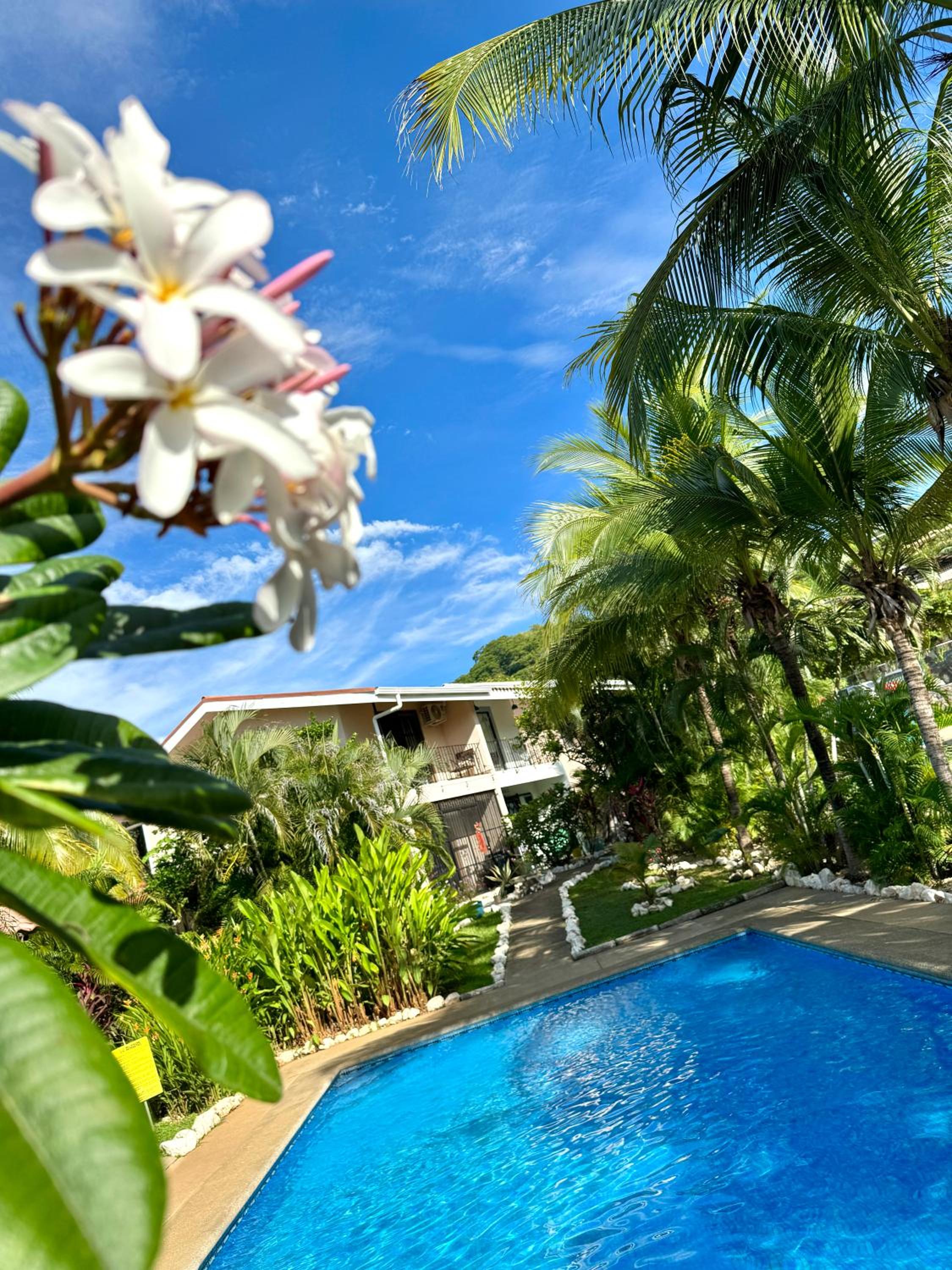 Pura Armonia Condo with Outdoor Patio