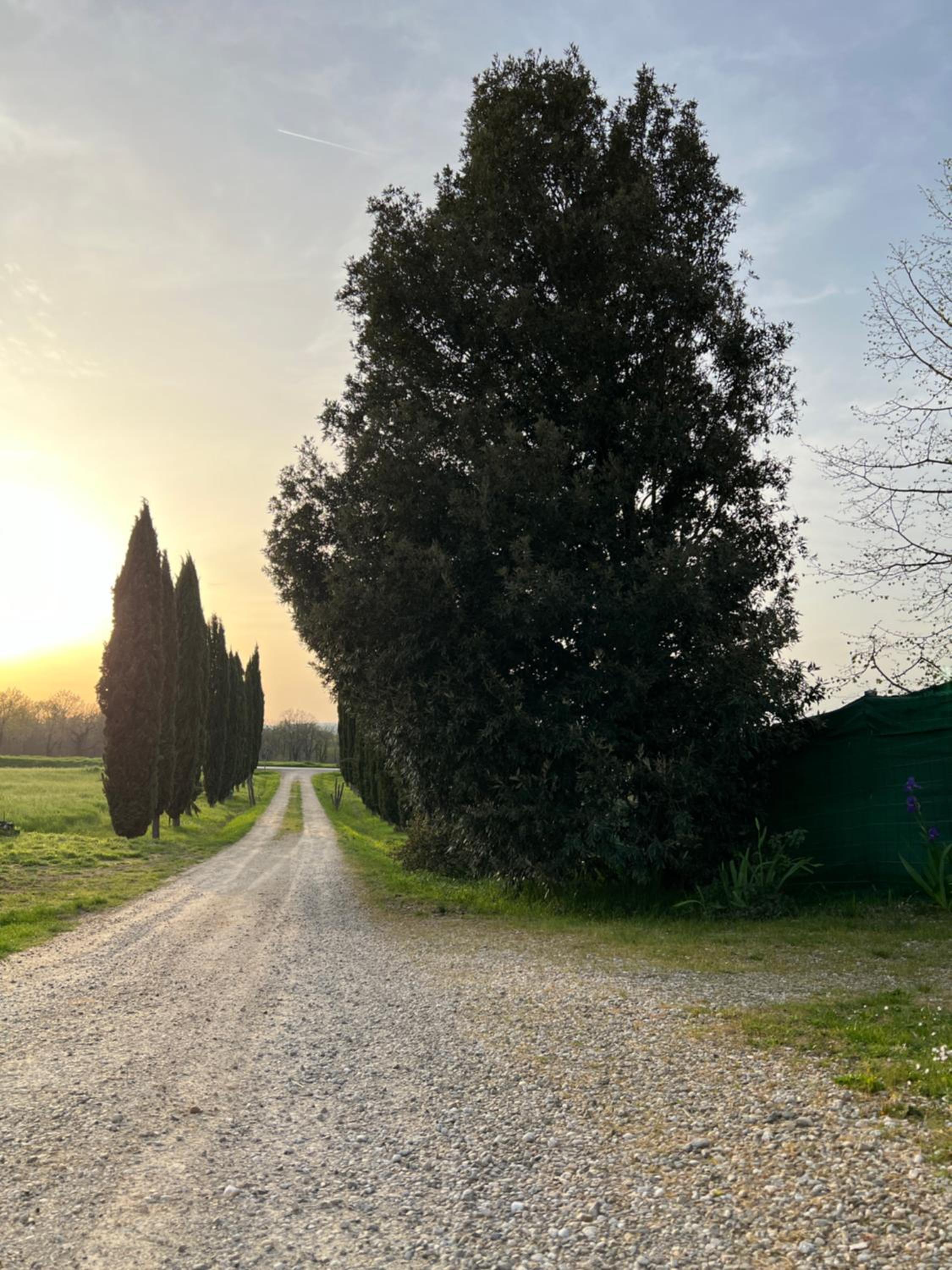 Antica Fonte Eterna - Casale in incantevole contesto Toscano, photo 5