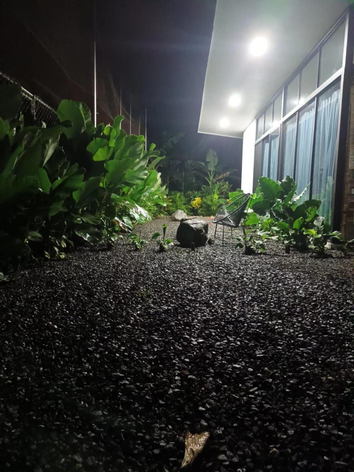 Toucan home