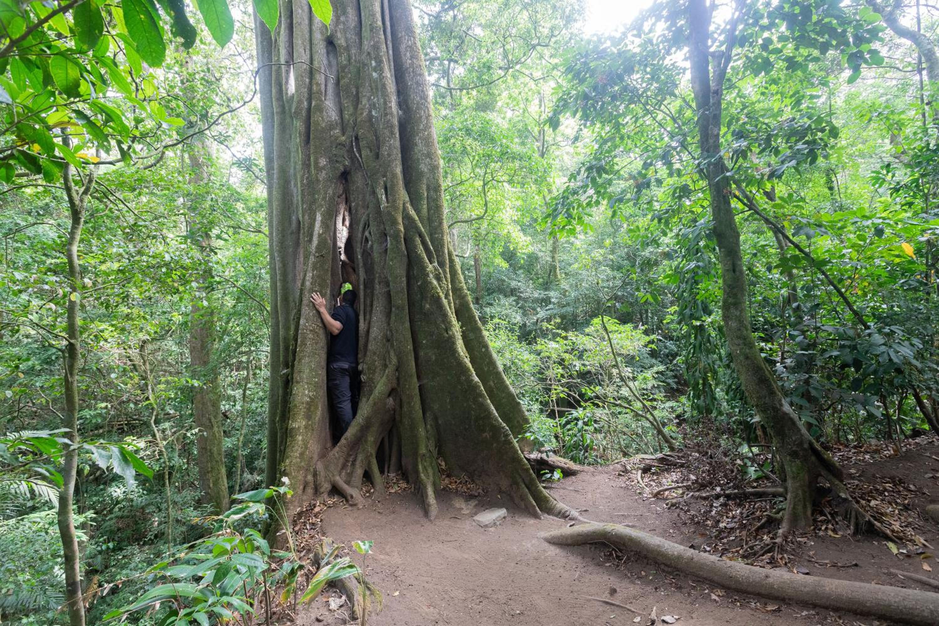 Elida Trails & Eco-Lodge