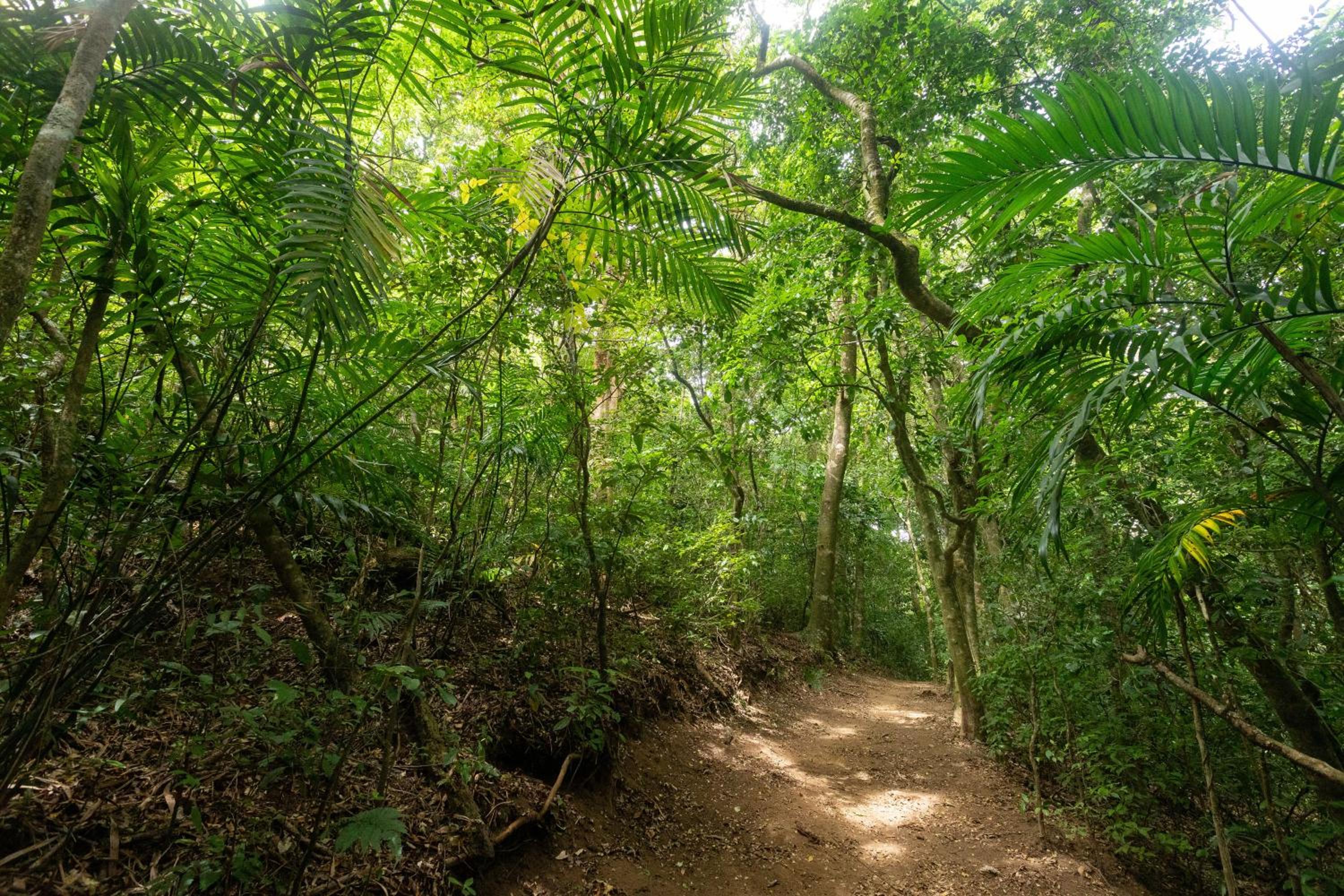 Elida Trails & Eco-Lodge