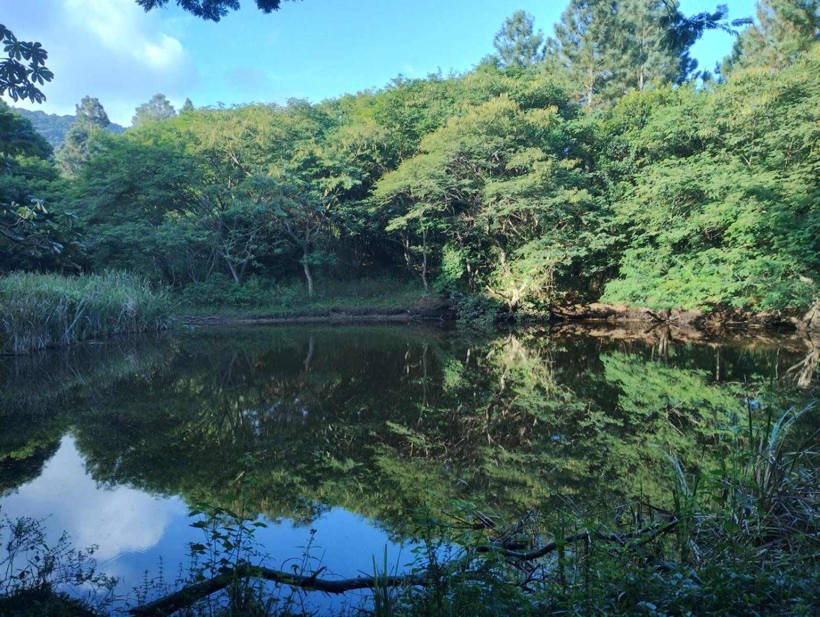 Condado Aldeia dos Reis