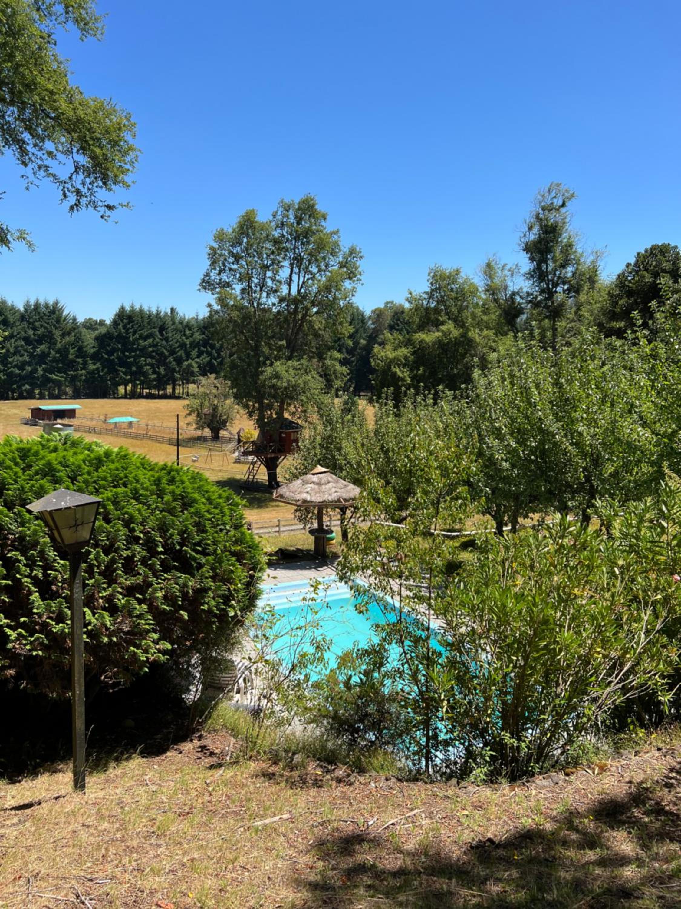 Cabaña Alerce Villarrica