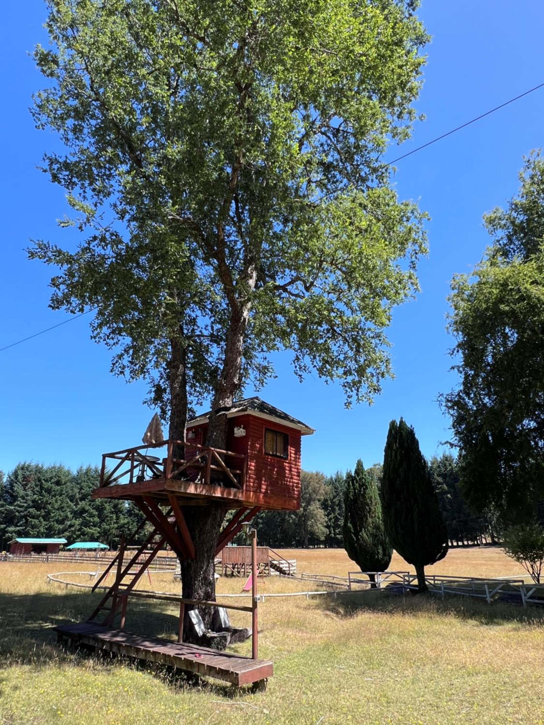 Cabaña Alerce Villarrica