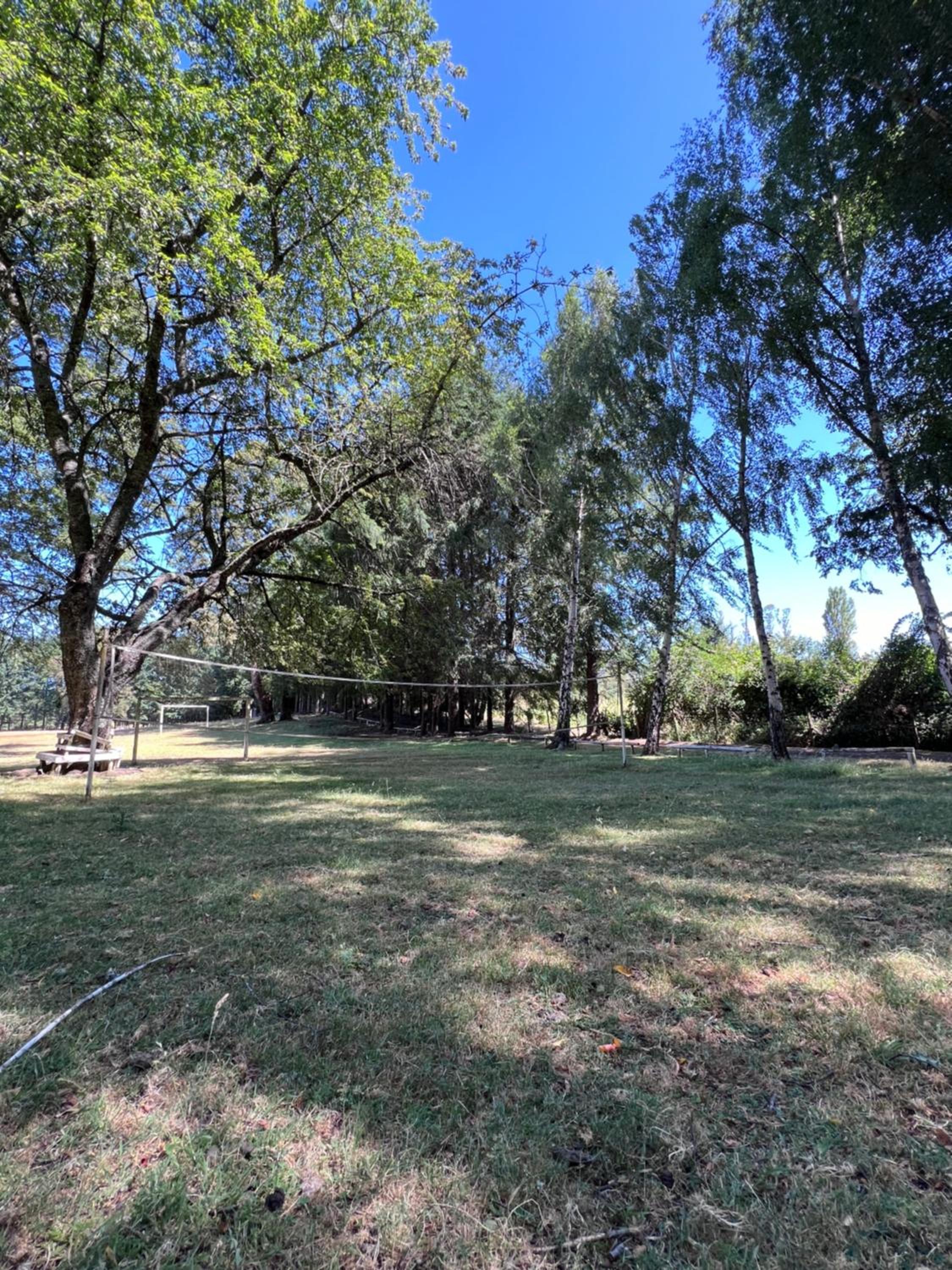 Cabaña Alerce Villarrica