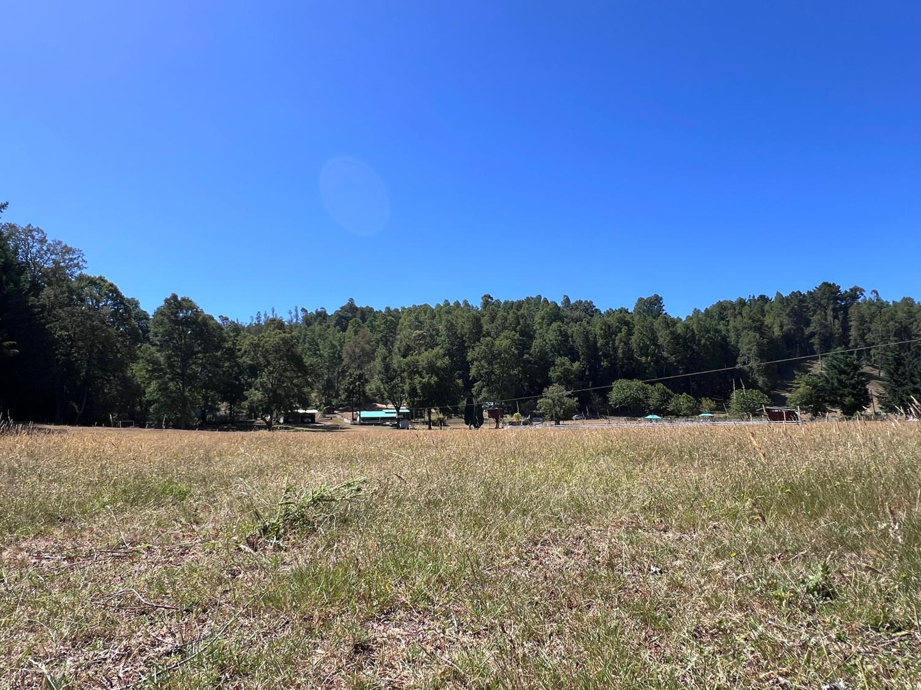 Cabaña Alerce Villarrica