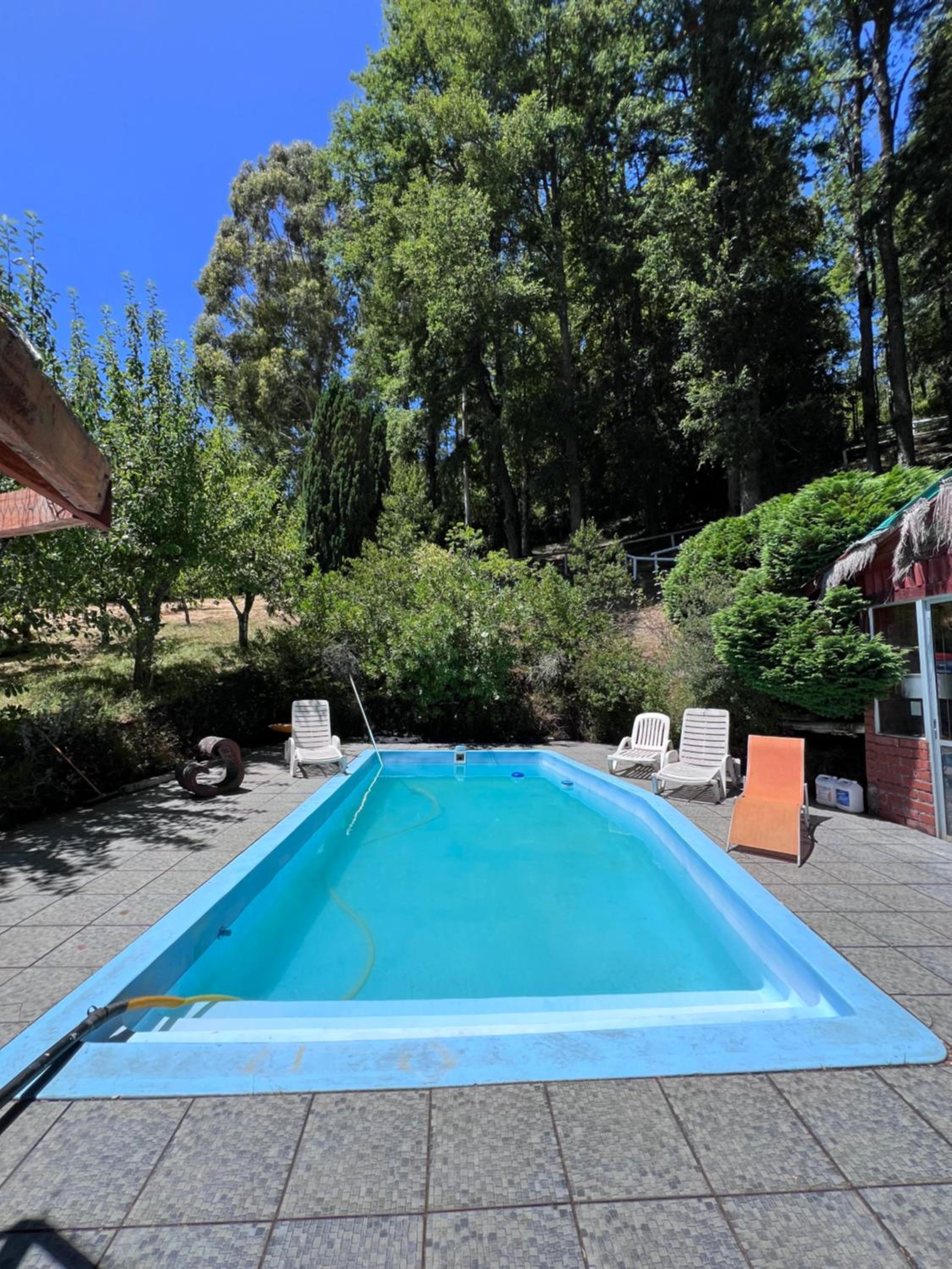 Cabaña Alerce Villarrica