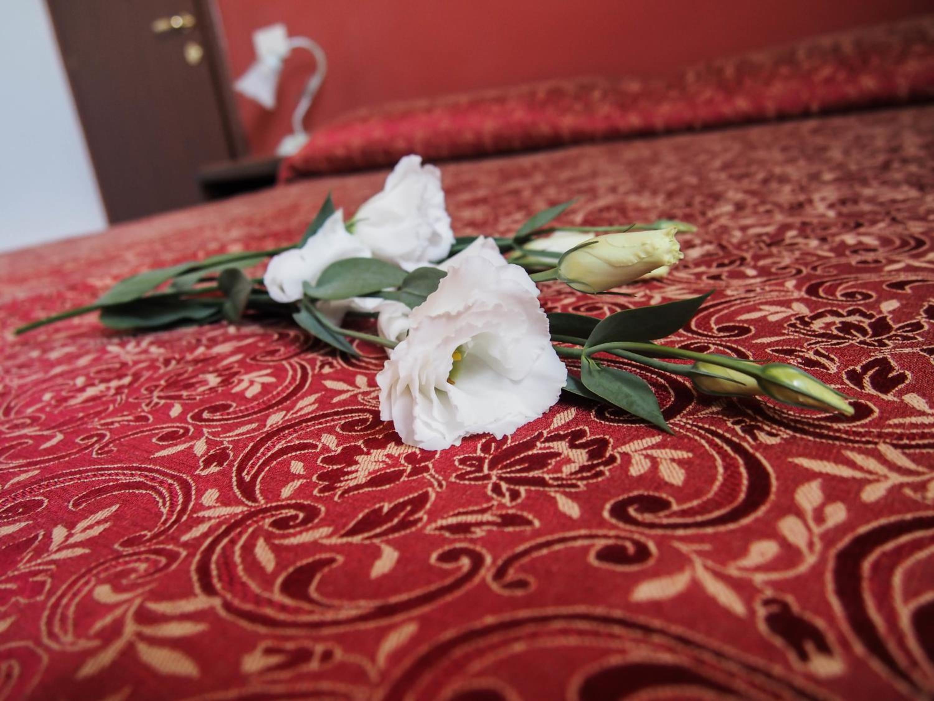 Photo 27
