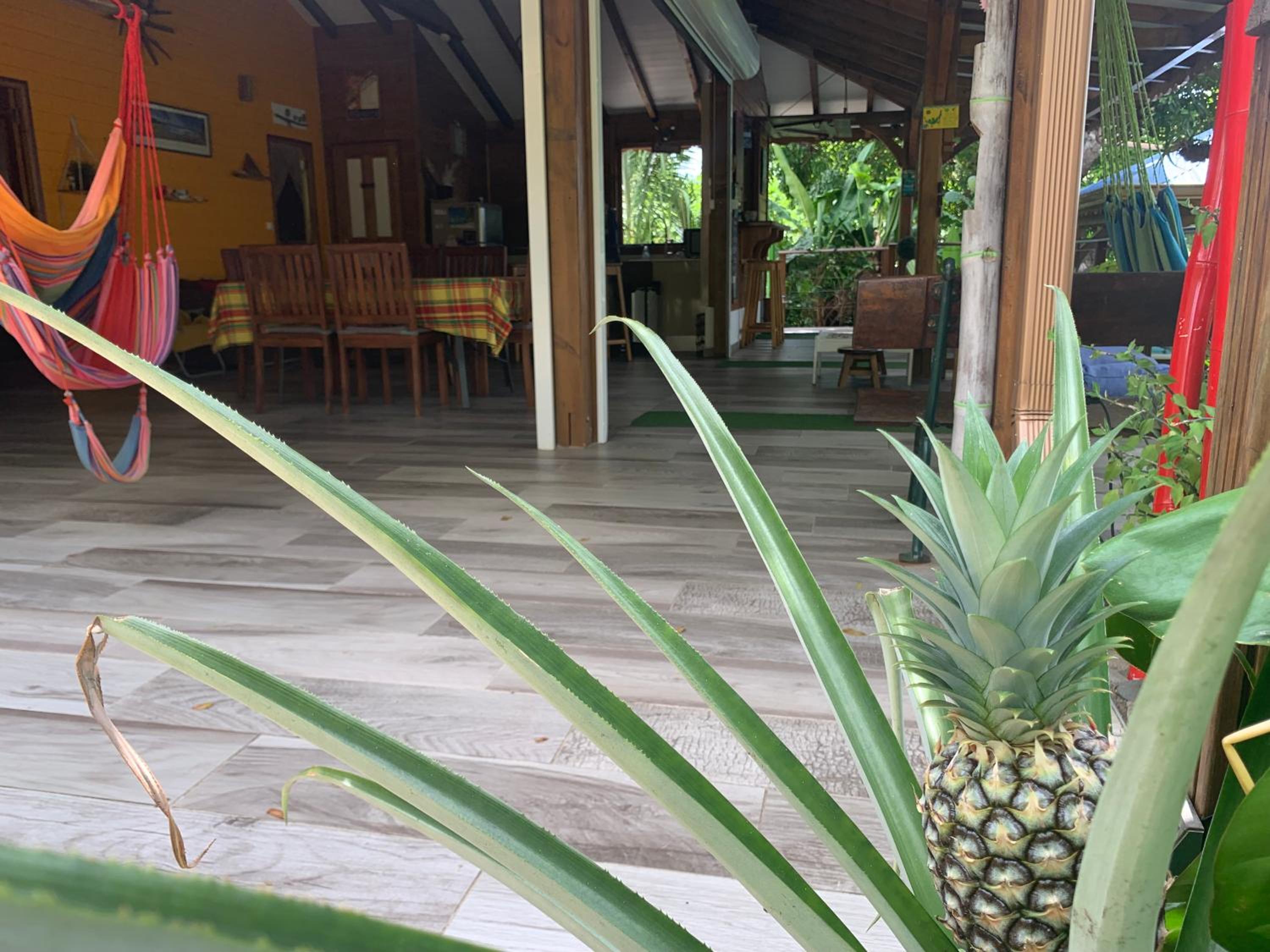 Les îlets caraïbes vue mer