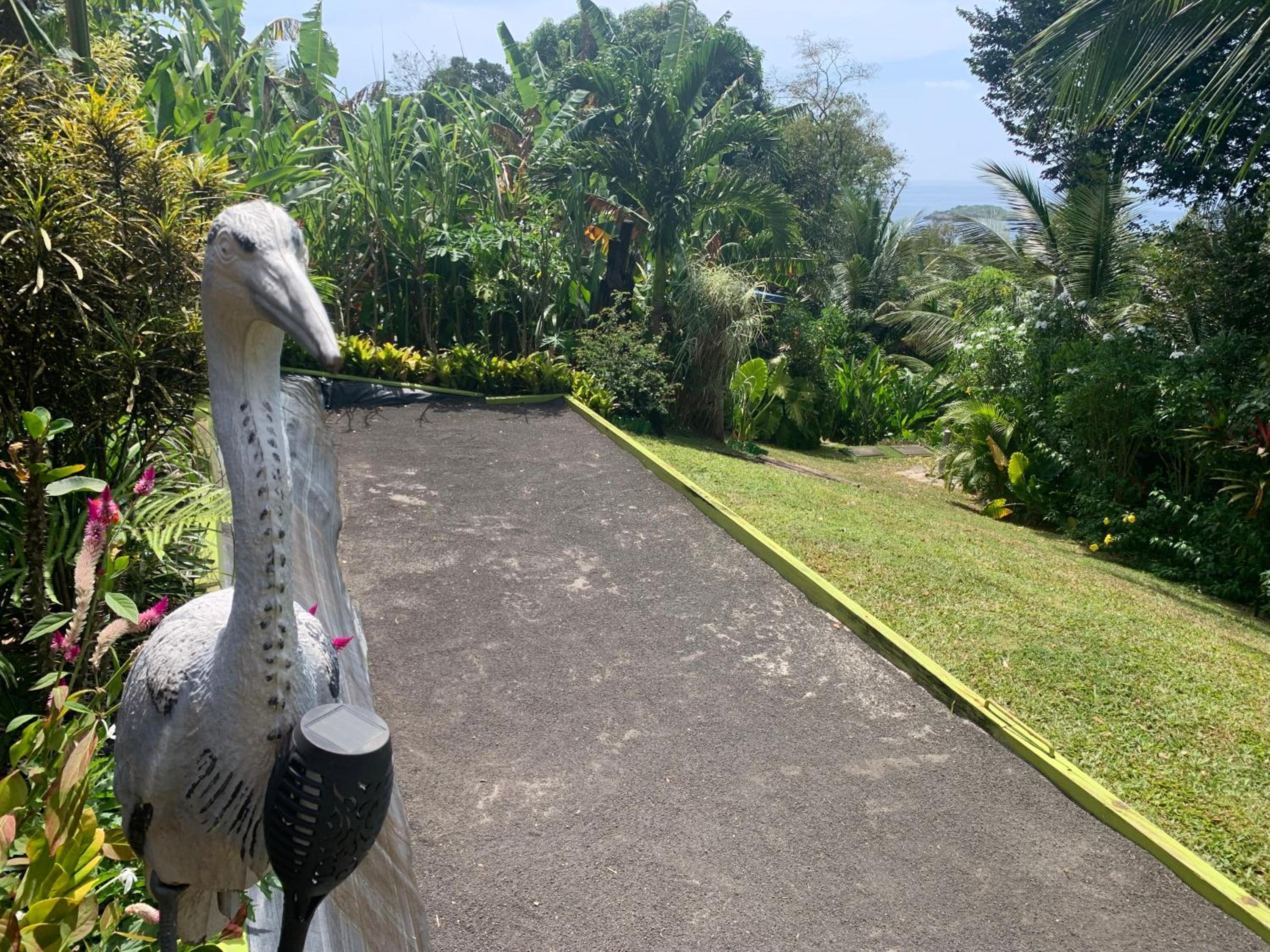 Les îlets caraïbes vue mer