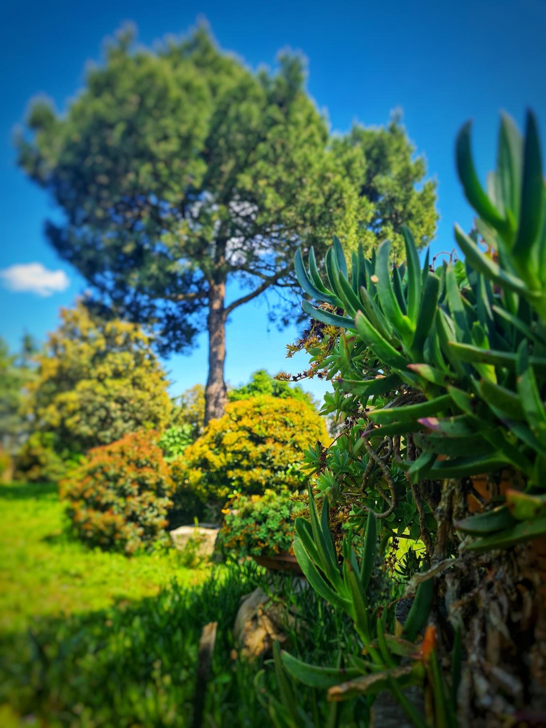 AgriBio Villa Ribes
