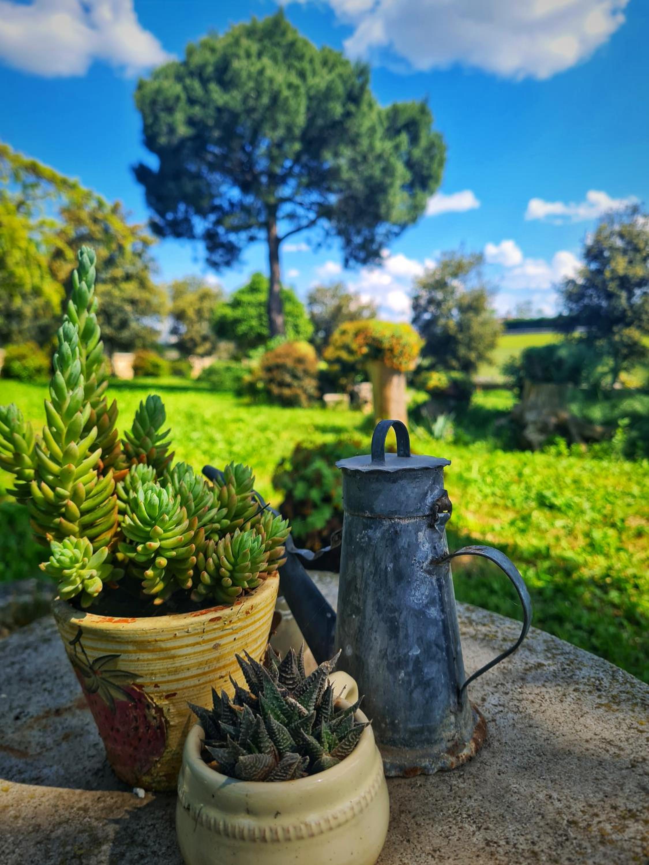 AgriBio Villa Ribes