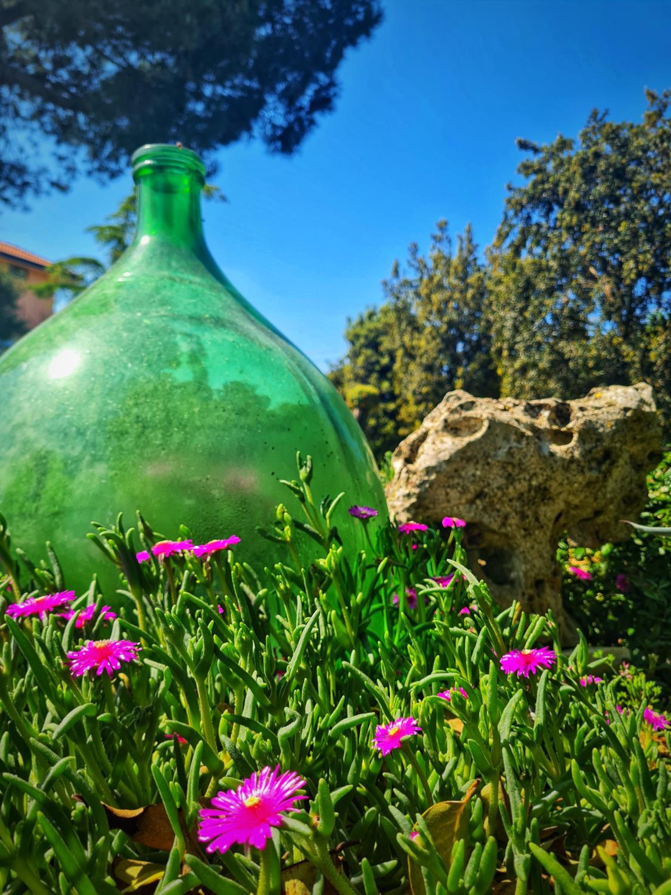 AgriBio Villa Ribes